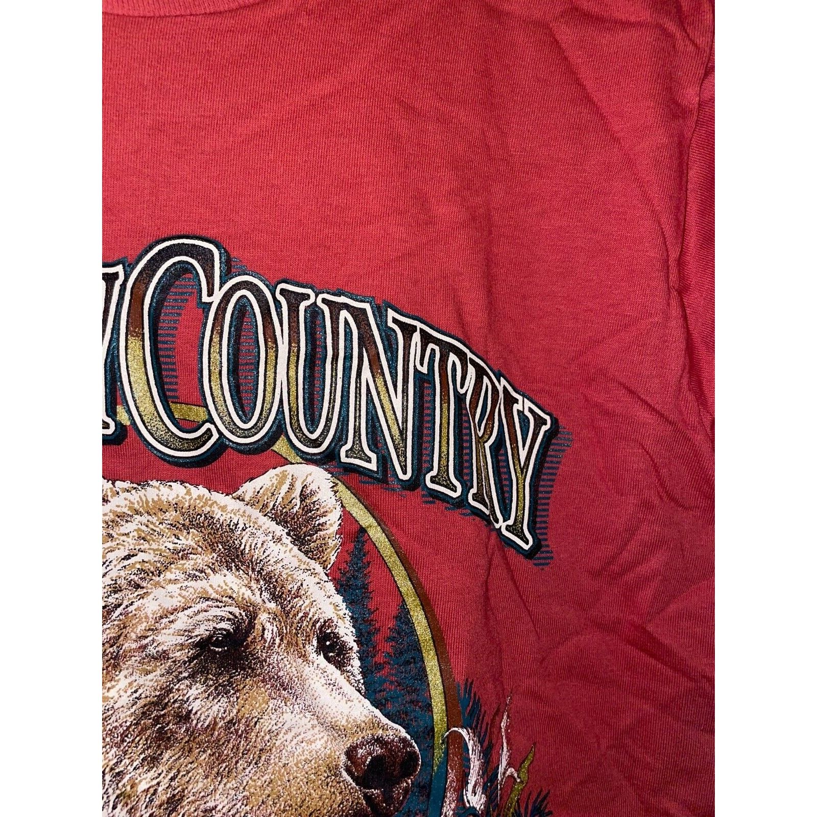 Jerzees 90s Vintage Grizzly Country Ursus Horribilis Montana Shirt Size US S / EU 44-46 / 1 - 5 Thumbnail