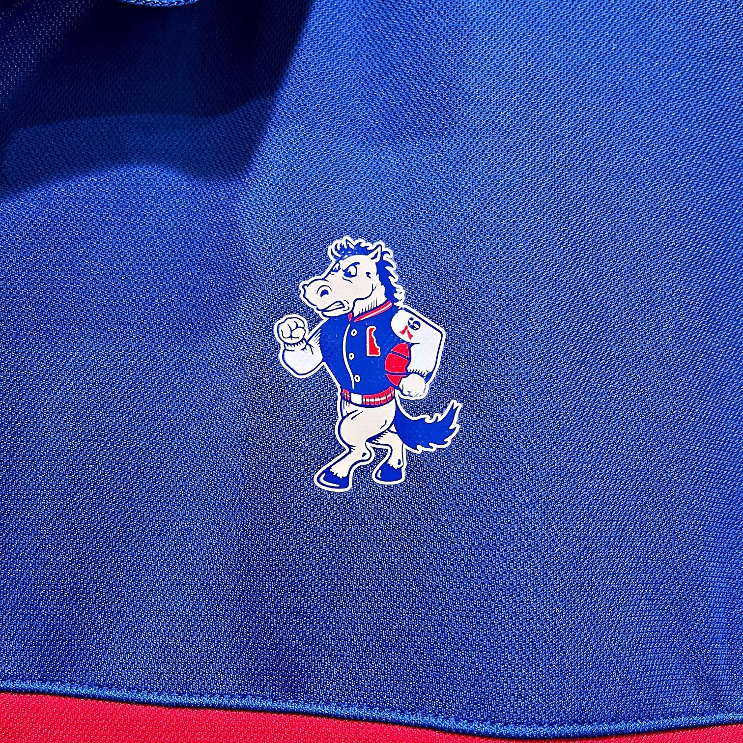 NBA × Nike Delaware Blue Coats NBA G League Nike Polo Shirt Blue Men XL Size US XL / EU 56 / 4 - 3 Thumbnail