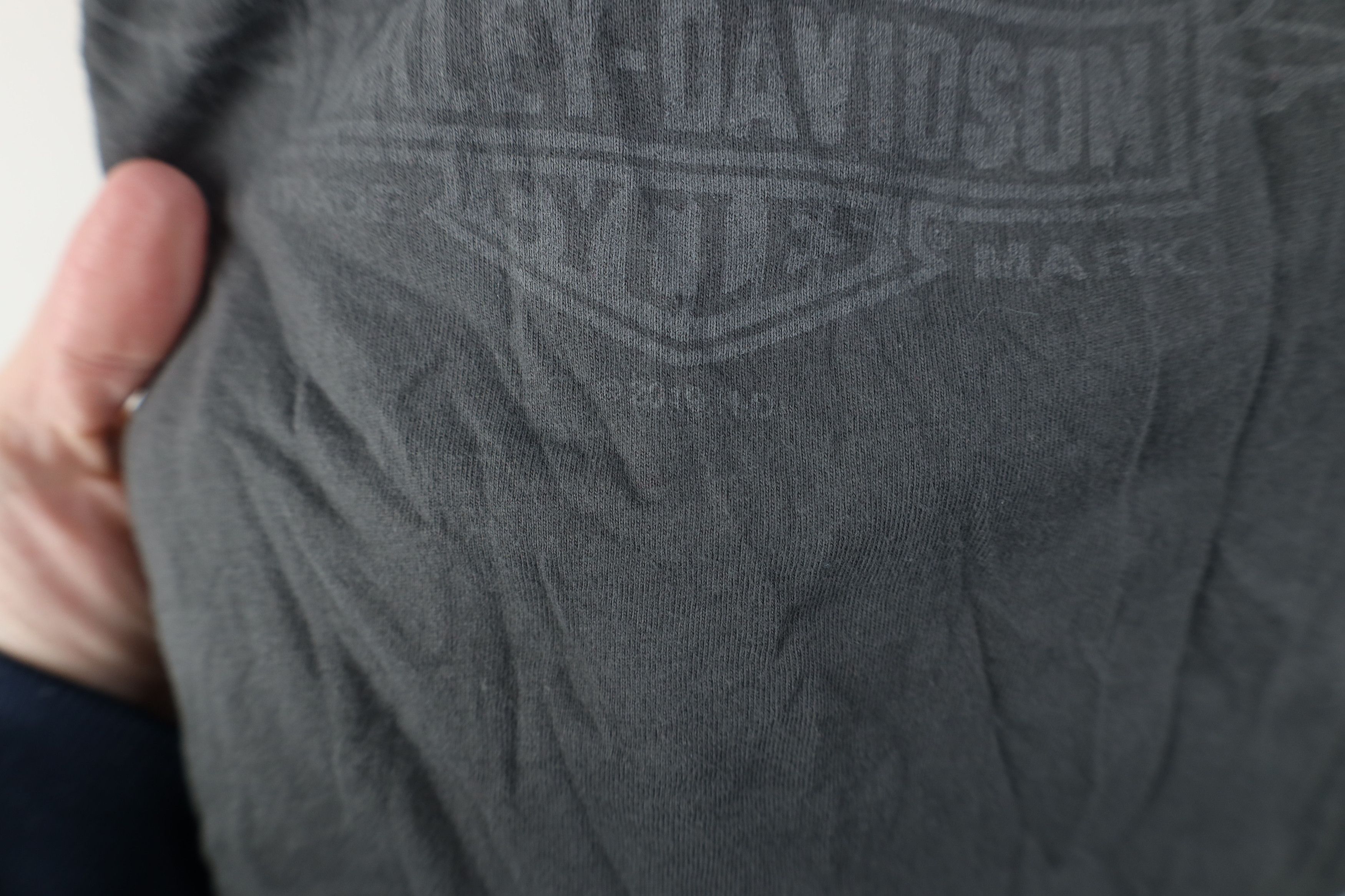 Harley Davidson Y2K Harley Davidson Spell Out Wings Long Sleeve T-Shirt Gray Size US L / EU 52-54 / 3 - 5 Thumbnail