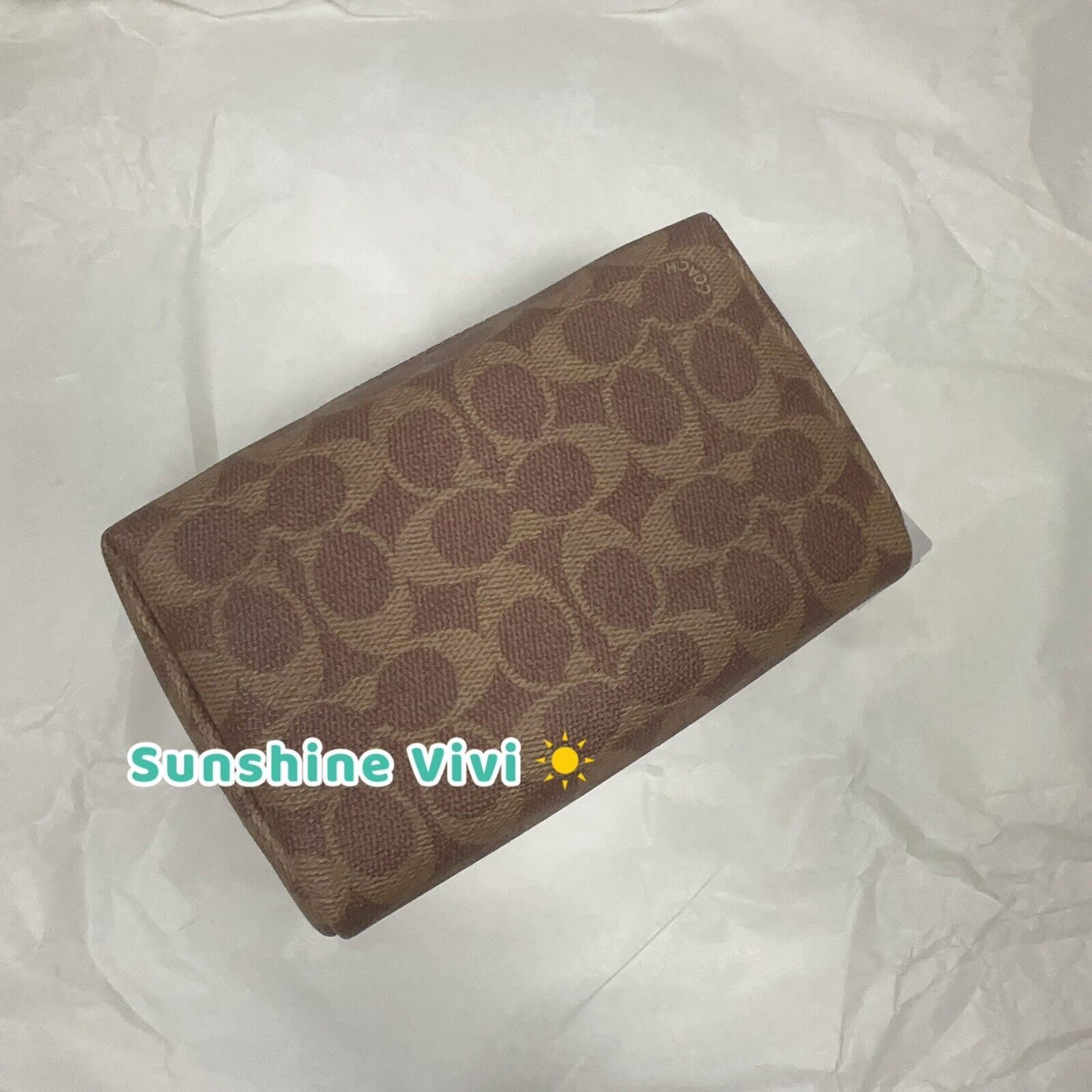 Coach NWT Limited COACH Rexy and Snowman Cosmetic Pouch Case CY304 Size ONE SIZE - 6 Thumbnail