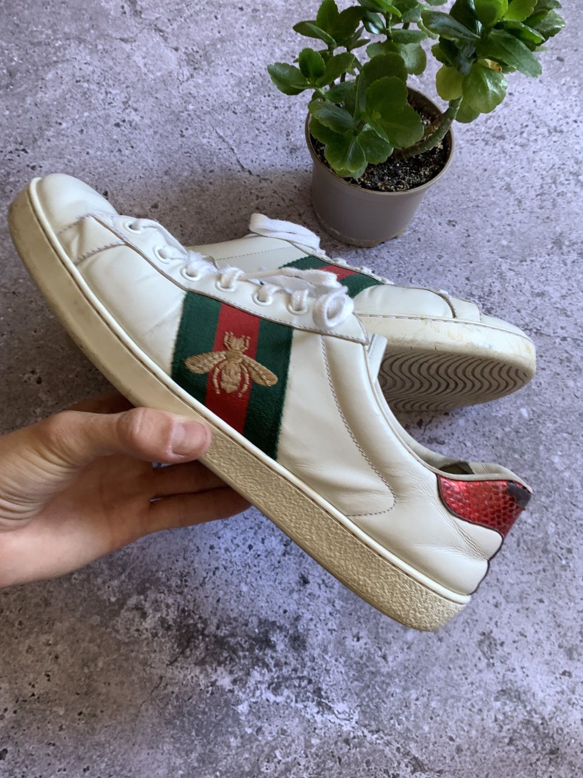 Gucci 🔥GUCCI ACE SNEAKERS Size US 9 / EU 42 - 13 Thumbnail