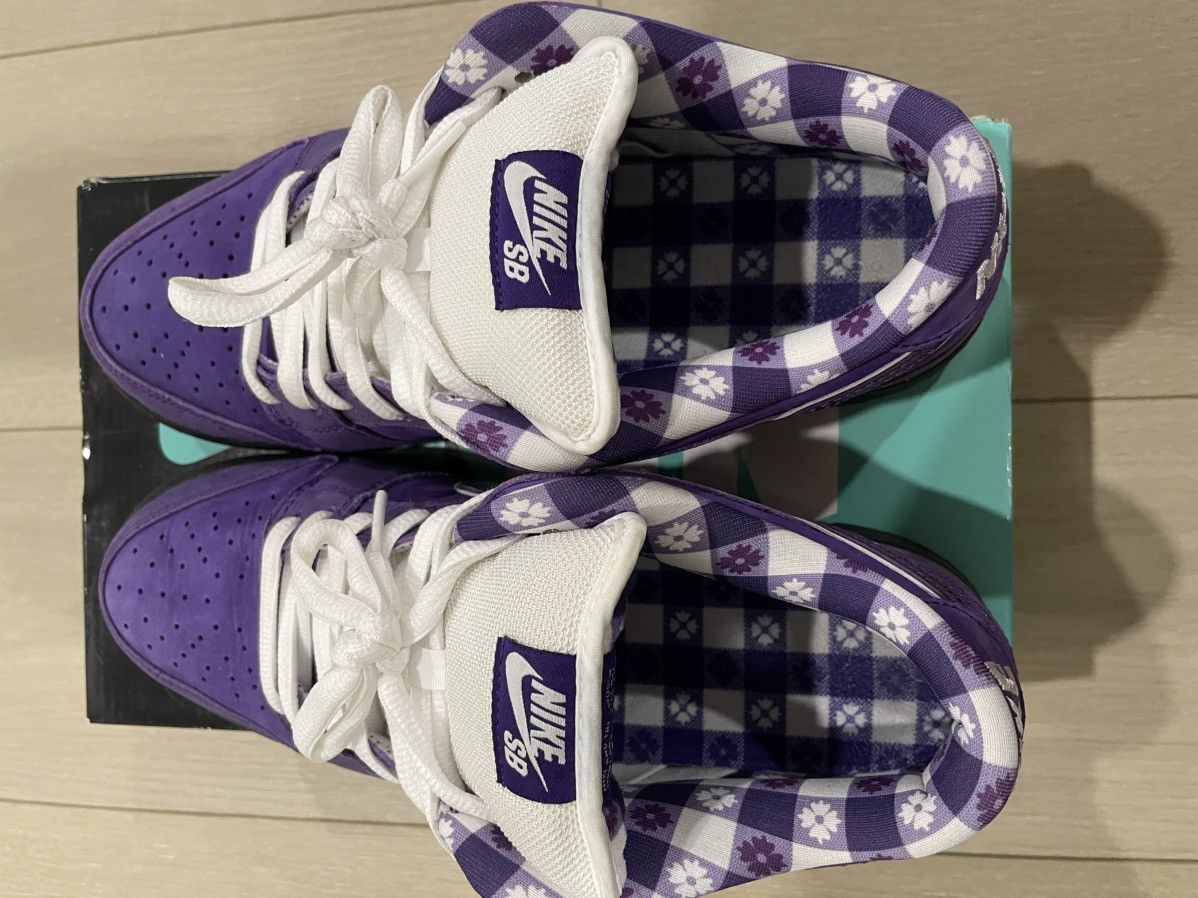 Nike Nike SB Dunk Low Concepts Purple Lobster Size US 9 / EU 42 - 9 Thumbnail