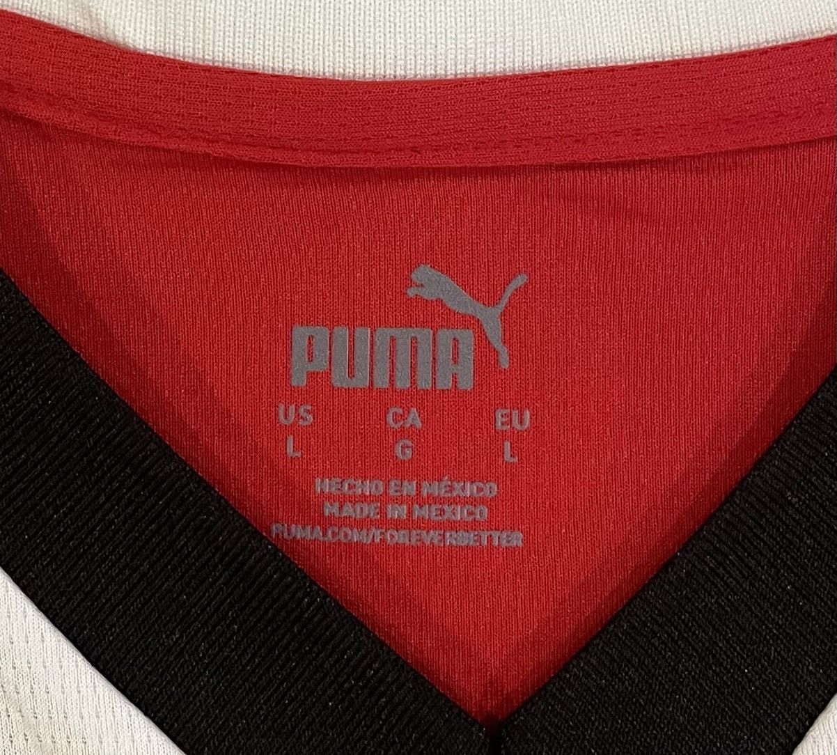Puma Puma 2024/25 PSV Eindhoven Soccer Jersey Men’s Size Large Size US L / EU 52-54 / 3 - 5 Thumbnail