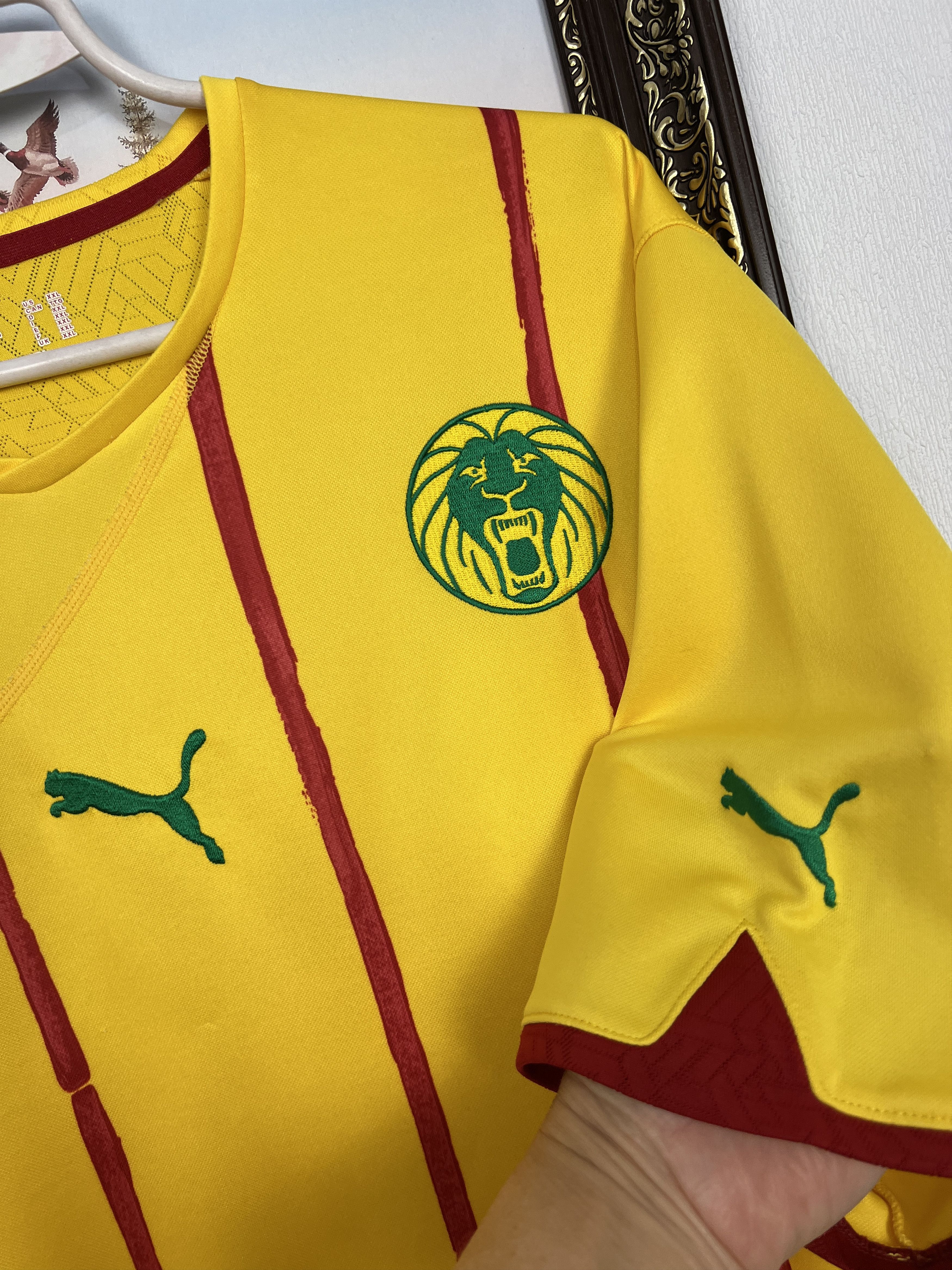 Puma Cameroon Away football shirt 2010 Soccer Puma Jersey Size US XXL / EU 58 / 5 - 4 Thumbnail