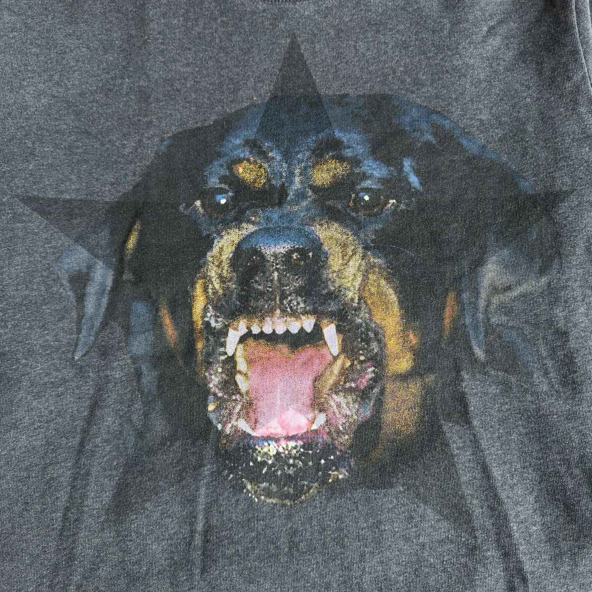 Givenchy Riccardo Tisci Rottweiler Star Sweatshirt Size US M / EU 48-50 / 2 - 2 Thumbnail