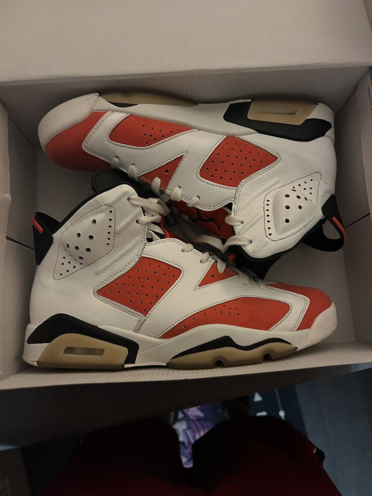 Air Jordan 6 Gatorade