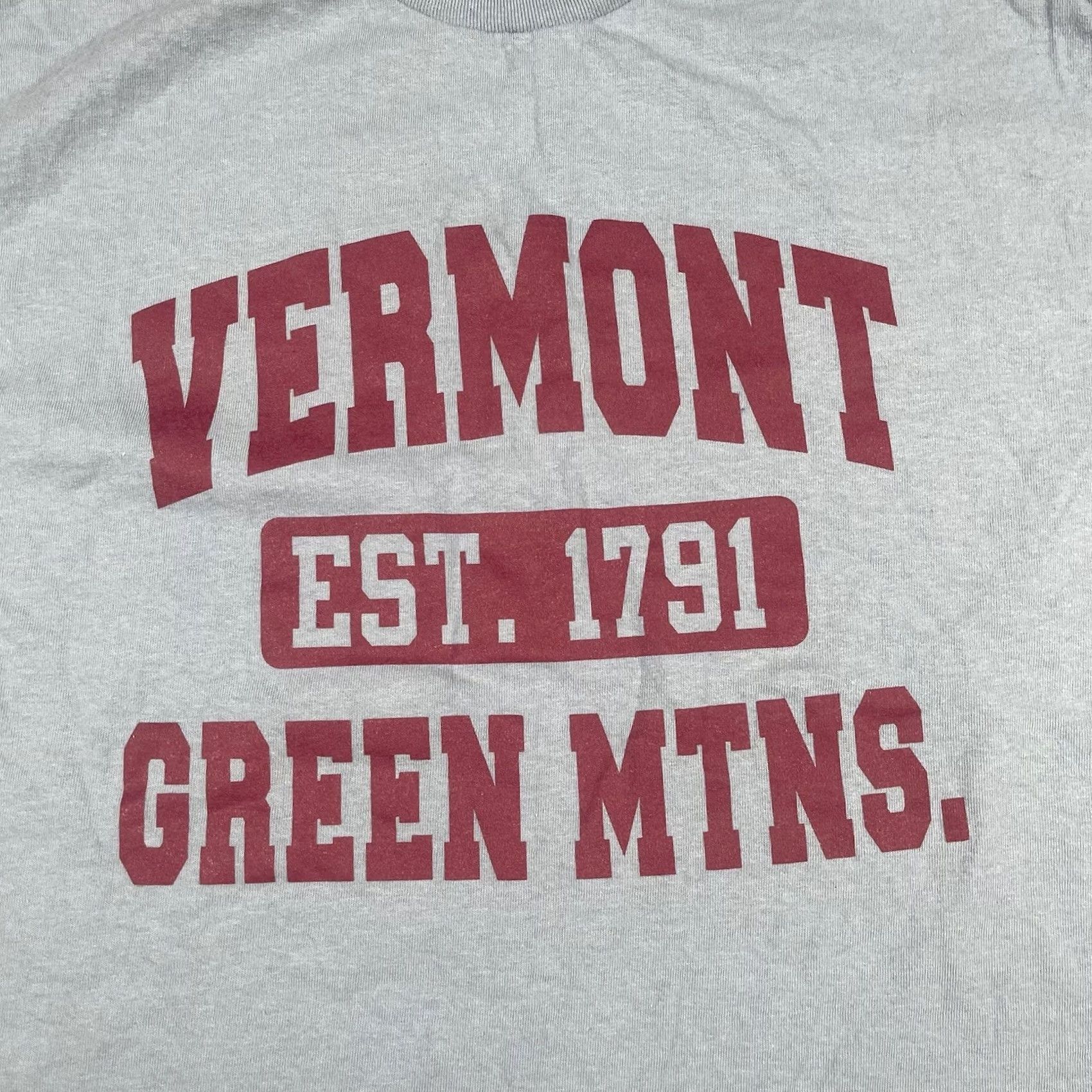 Gildan Gildan T-Shirt Adults L Large Blue Ultra Cotton Vermont Green Mountaineers Shirt Regular Blue Mens Size US L / EU 52-54 / 3 - 2 Thumbnail