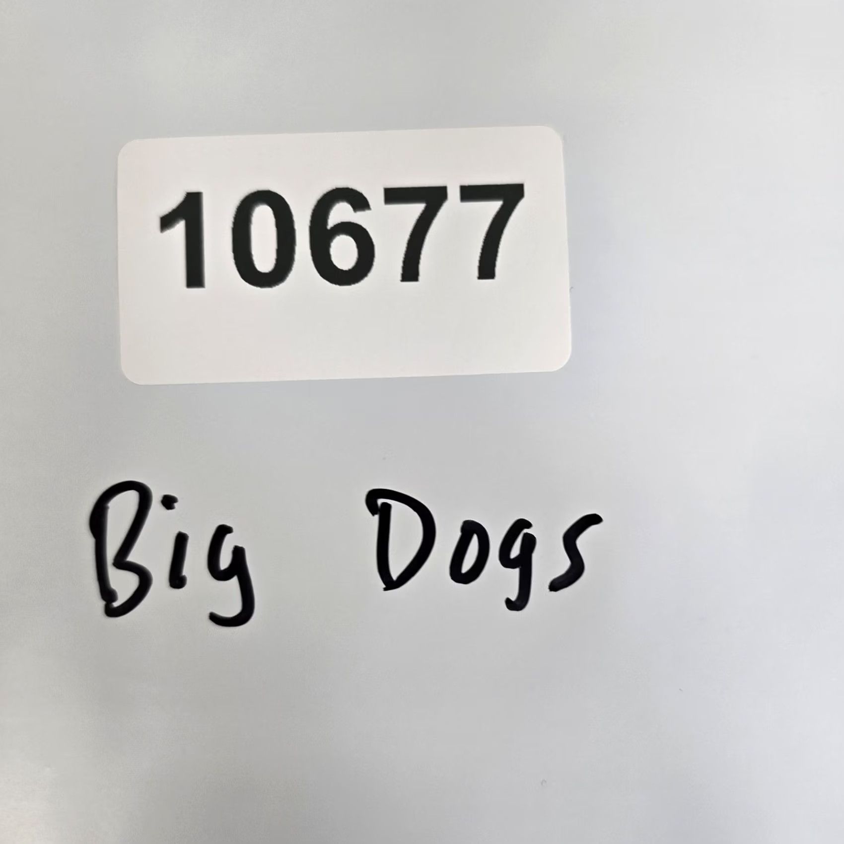 Big Dogs Big Dogs Shirt Mens XL Gray Graphic Tee Funny Dog As Bad As I Wanna Be Size US XL / EU 56 / 4 - 7 Thumbnail