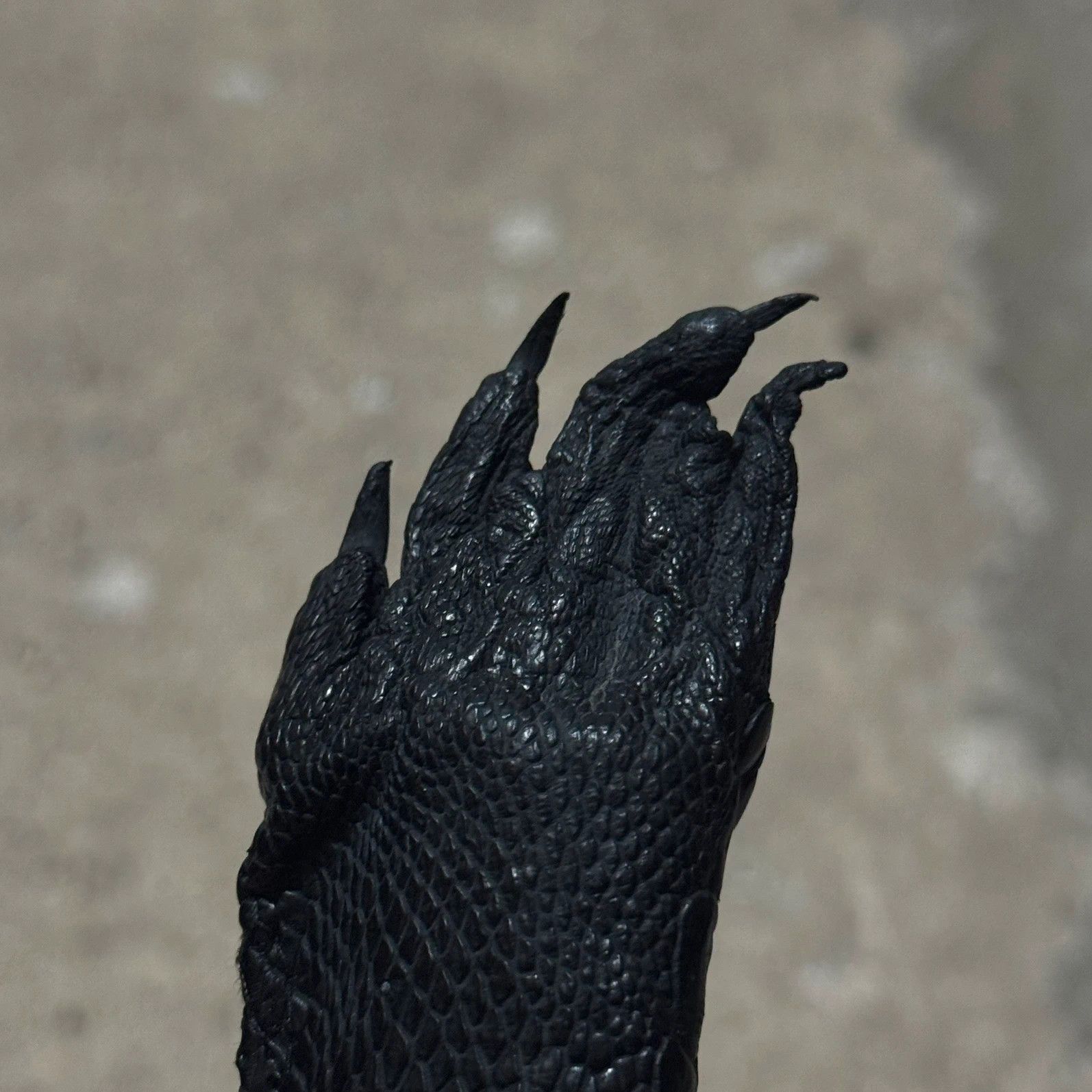 Other Real Crocodile paw leather lighter-case Size ONE SIZE - 6 Thumbnail