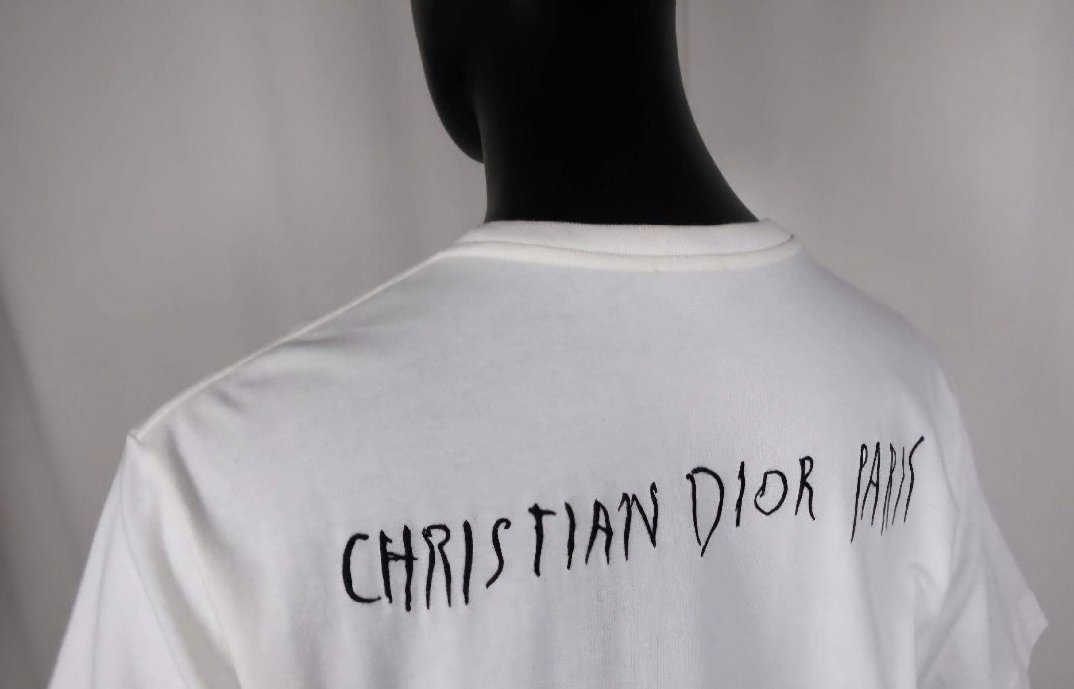 Dior Dior x Raymond Pettibon Embroidered Crewneck T-Shirt Size US L / EU 52-54 / 3 - 2 Thumbnail