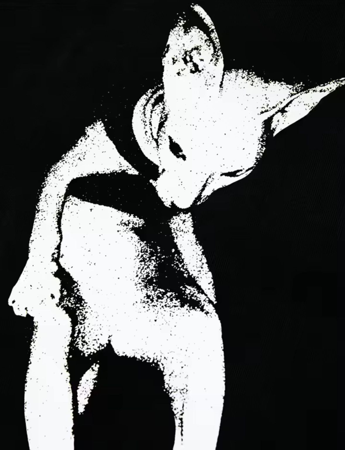 Japanese Brand Streetwear Y2K Pussy Cat Lover T-Shirt Punk Graphic Tees Size US XXL / EU 58 / 5 - 2 Thumbnail