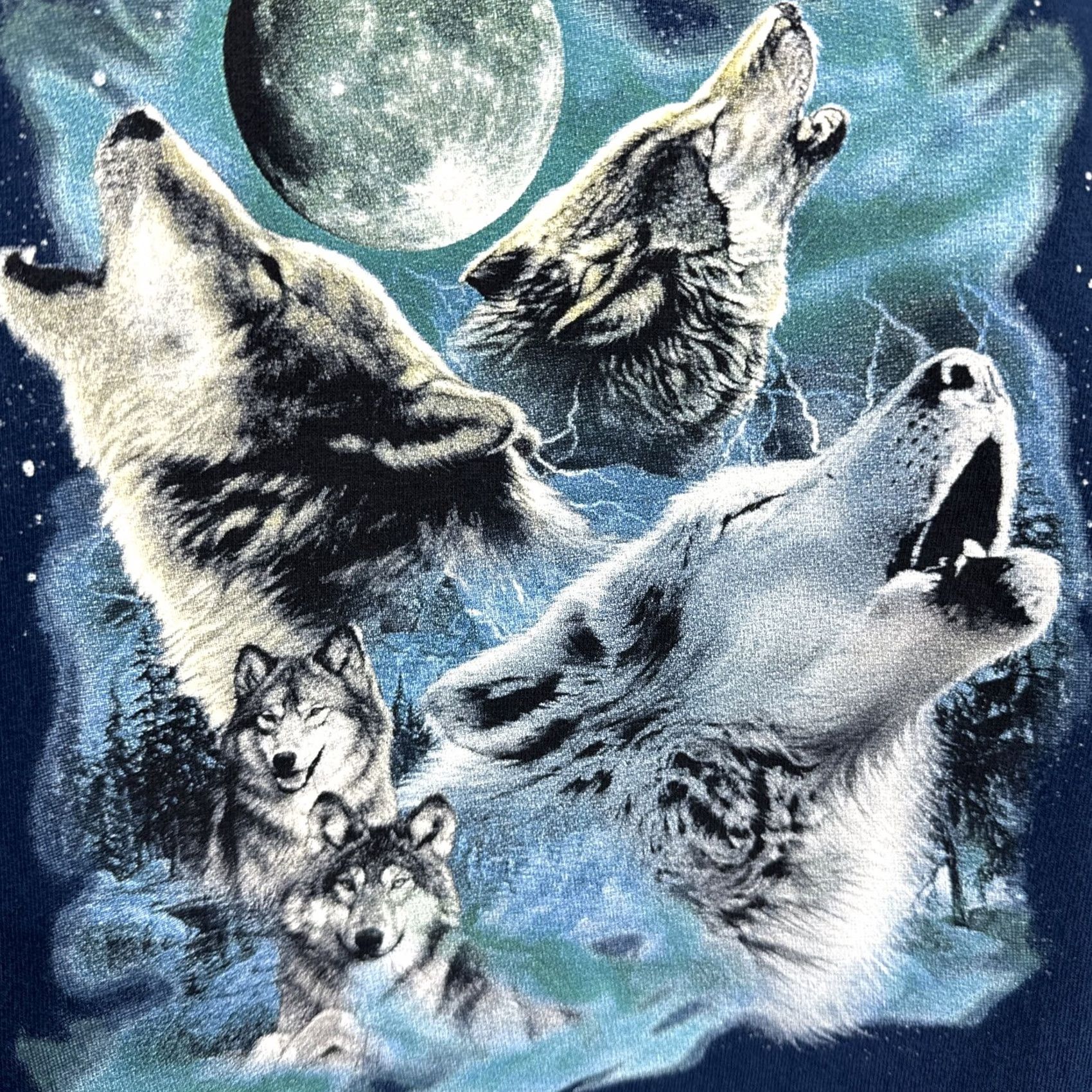 AAA Vintage Sedona Arizona Shirt Wolf Protect & Preserve Y2K Blue XL Mens Cotton Tee Size US XL / EU 56 / 4 - 2 Thumbnail