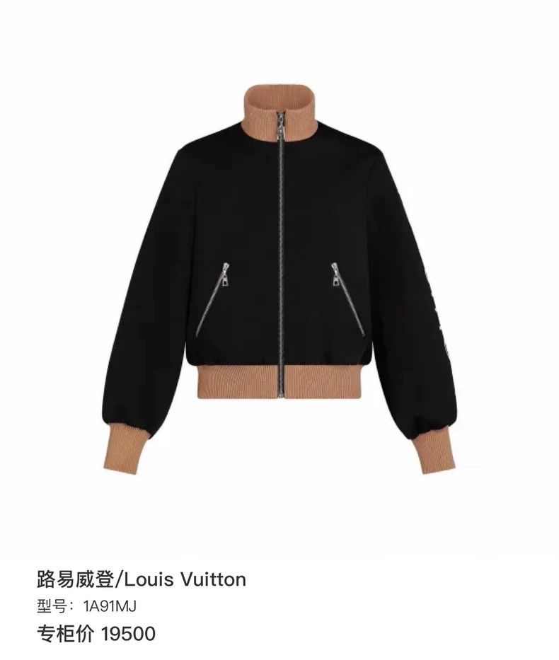 Louis Vuitton Louis Vuitton Sleeve logo color-block jacket Size XS / US 0-2 / IT 36-38 - 9 Thumbnail