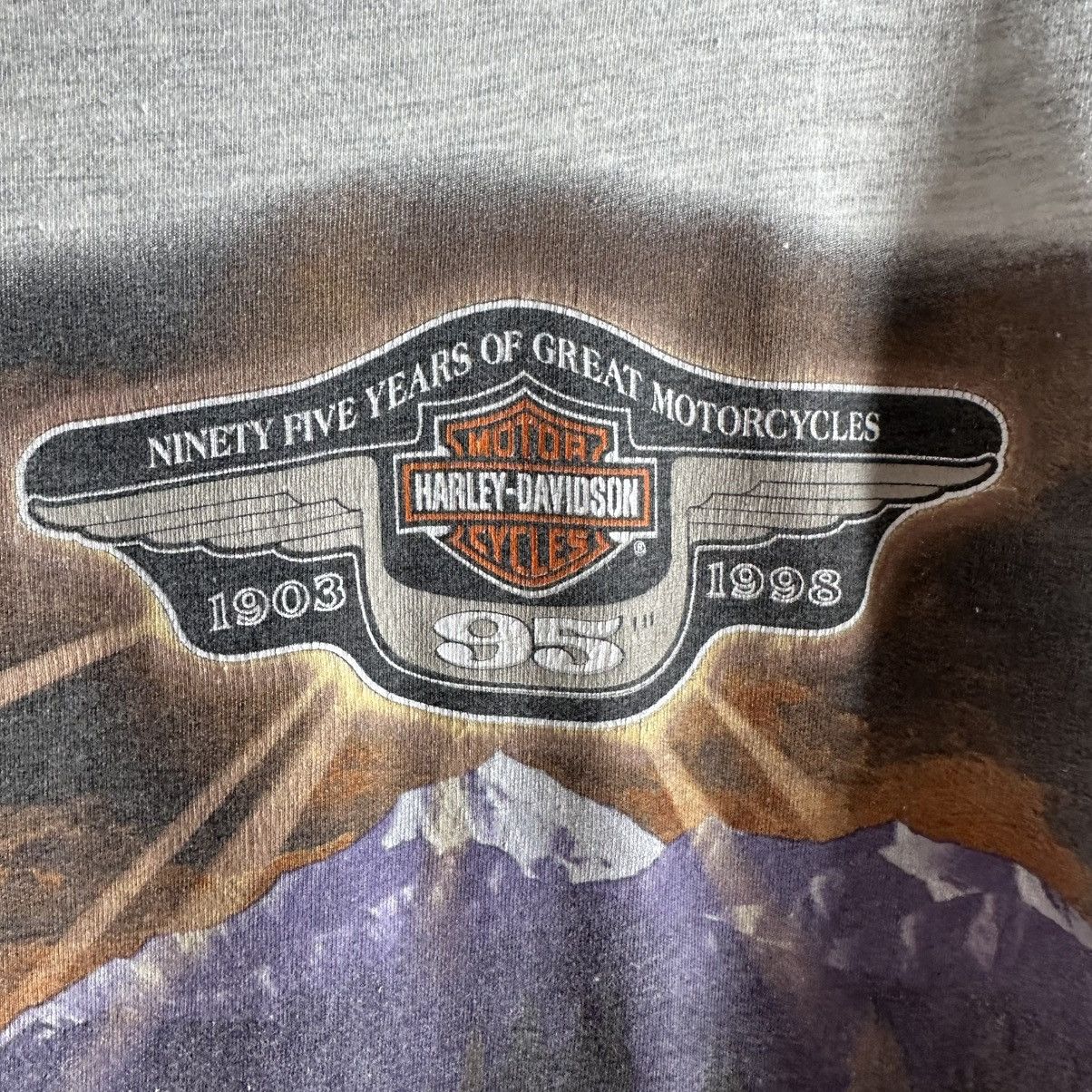 Harley Davidson Harley Davidson 1998 USA Vintage Size US L / EU 52-54 / 3 - 3 Thumbnail