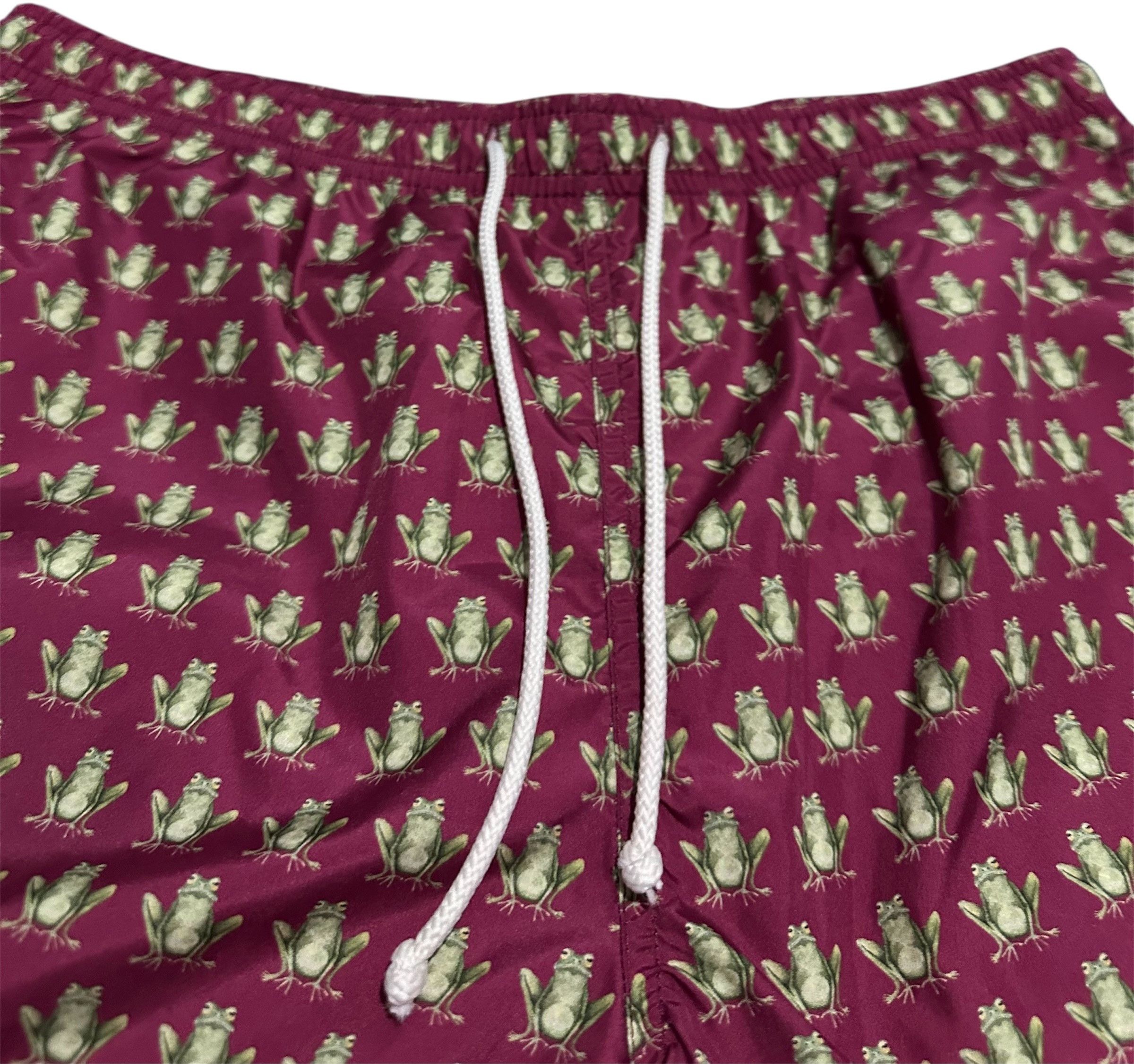 Other Dalwin Frog Swim Shorts Size US 32 / EU 48 - 3 Thumbnail