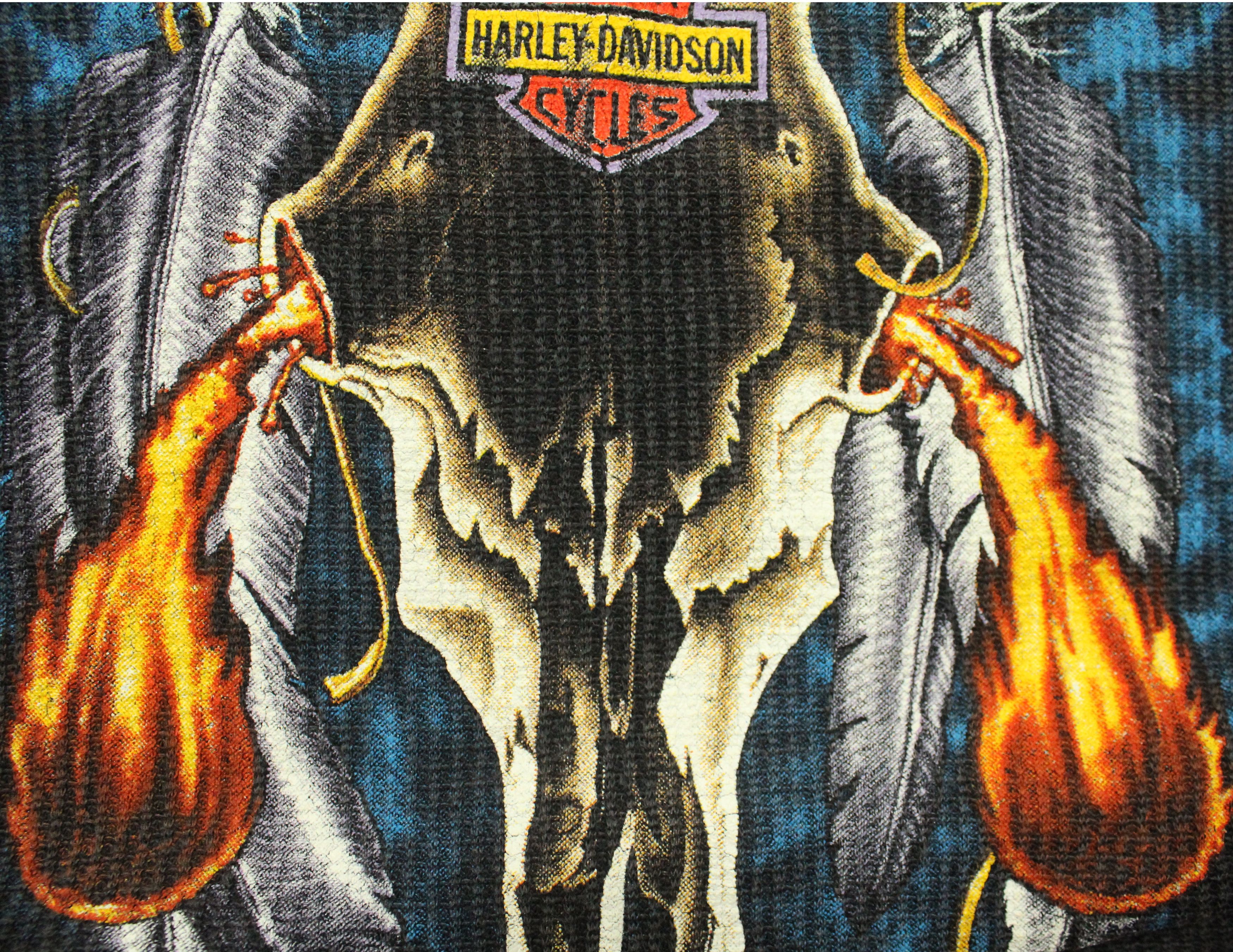 Harley Davidson Vintage HARLEY DAVIDSON Shirt HOLOUBEK Flame Thermal Bodyfit Size US M / EU 48-50 / 2 - 7 Thumbnail