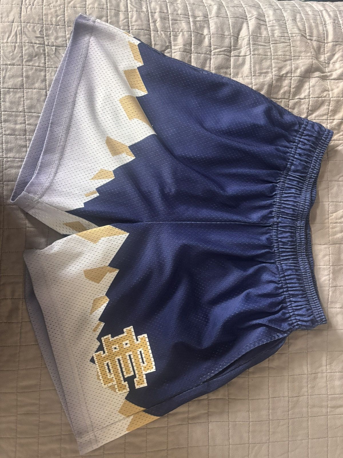 Eric Emanuel Eric Emanuel EE Blue mountain shorts size small Size US 30 / EU 46 - 1 Thumbnail