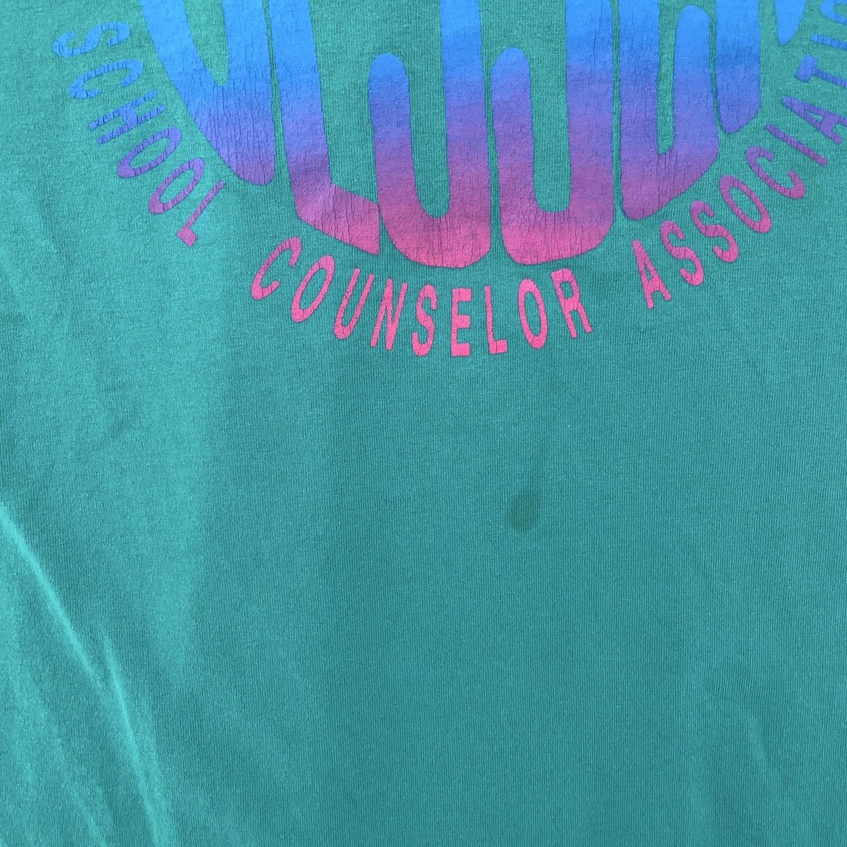 Vintage VINTAGE St. Louis School Counselor Association T-Shirt L Missouri Teacher 90s Screen Stars Best Green Graphic Print Cotton Polyester Men Size US L / EU 52-54 / 3 - 3 Thumbnail