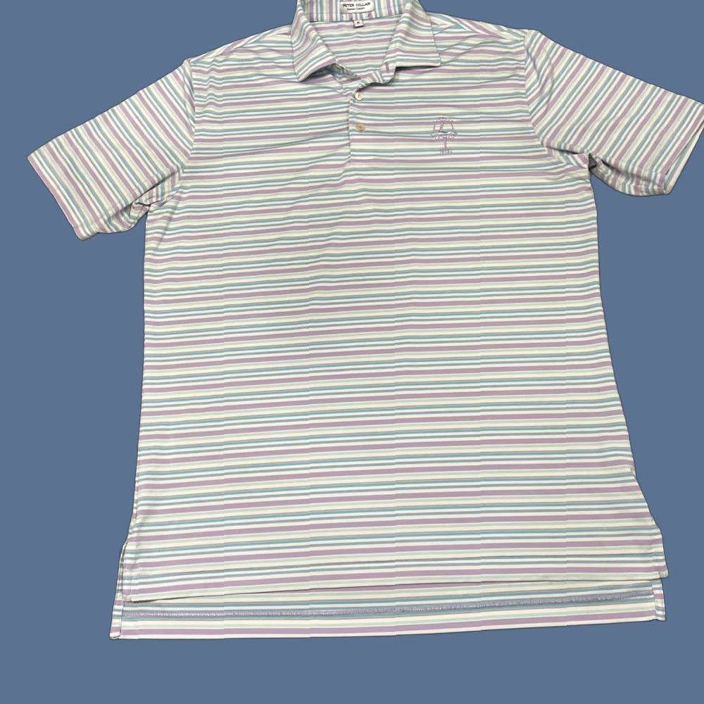 Peter Millar Peter Millar Linville Golf Club Classic Fit Striped Polo Men’s M Multicolor Shirt Golf Size US M / EU 48-50 / 2 - 1 Thumbnail