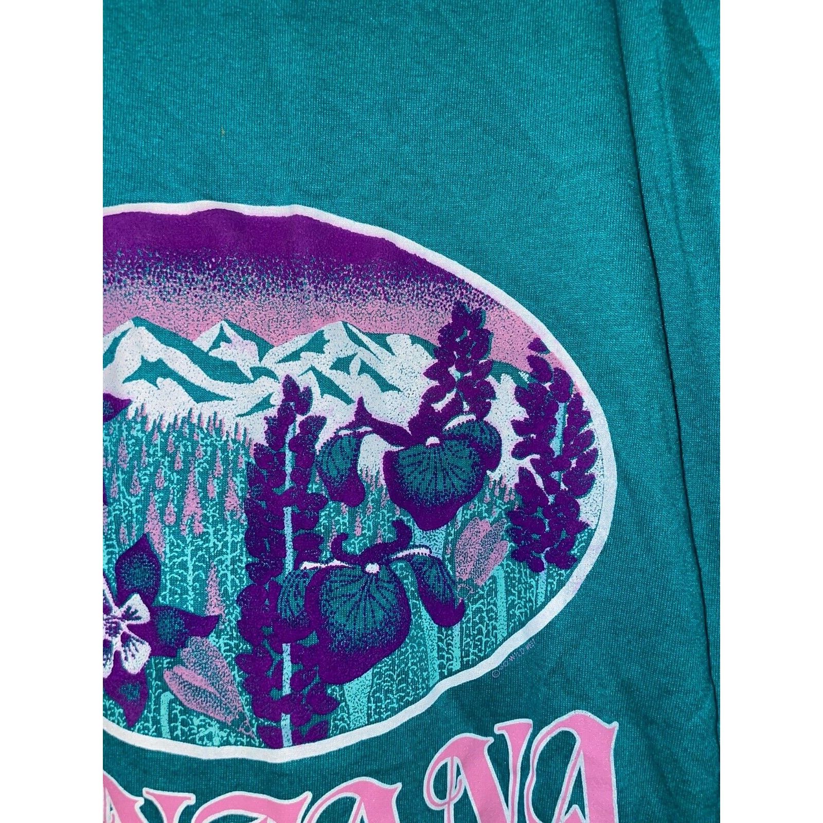 Jerzees 1980s Vintage Jerzees Montana Wildflower Teal Shirt 80s M Size US M / EU 48-50 / 2 - 3 Thumbnail