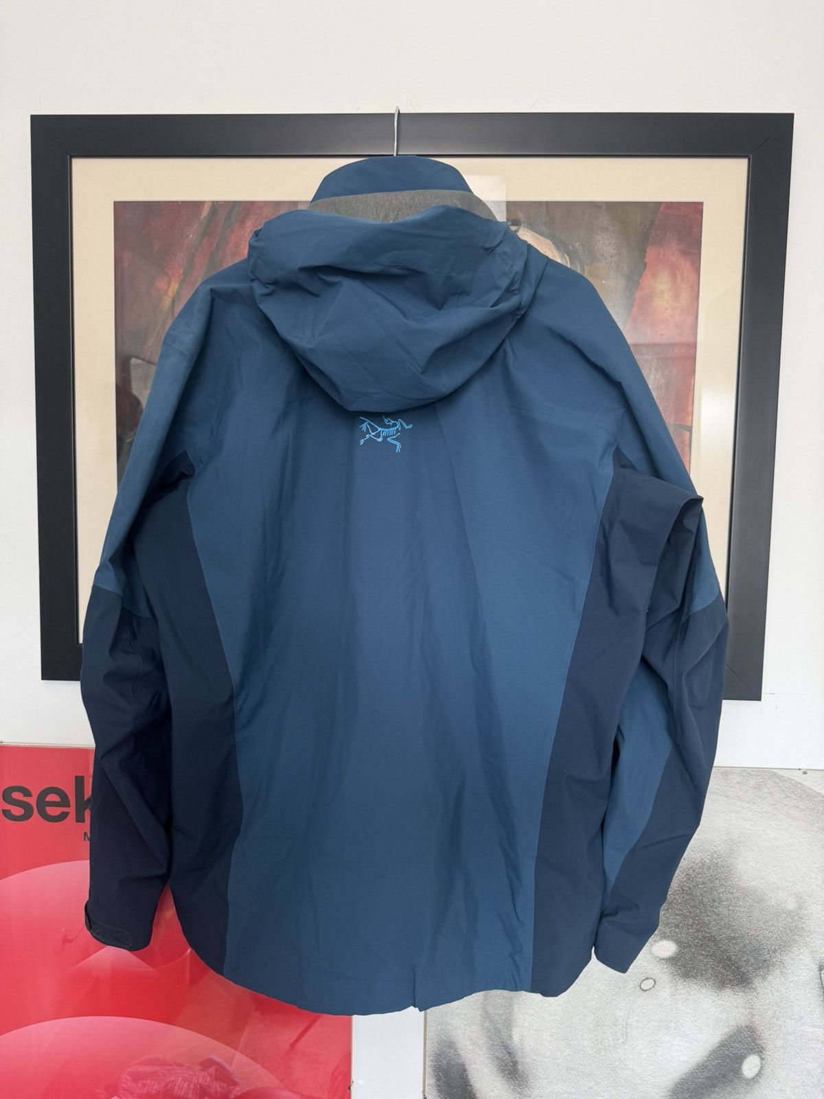 Arc'teryx Rare Arcteryx Stingray Recco Gore Tex Jacket Gorpcore Snow Size US L / EU 52-54 / 3 - 2 Thumbnail