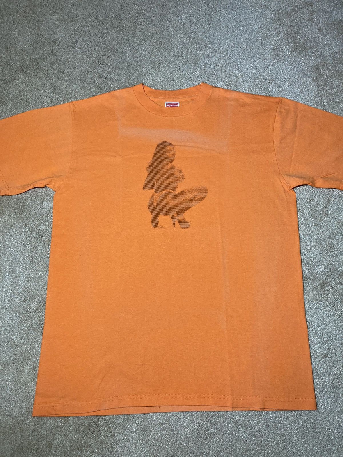 Supreme 1998 Supreme Daikanyama Digi Photo Terry Richardson 90s 
