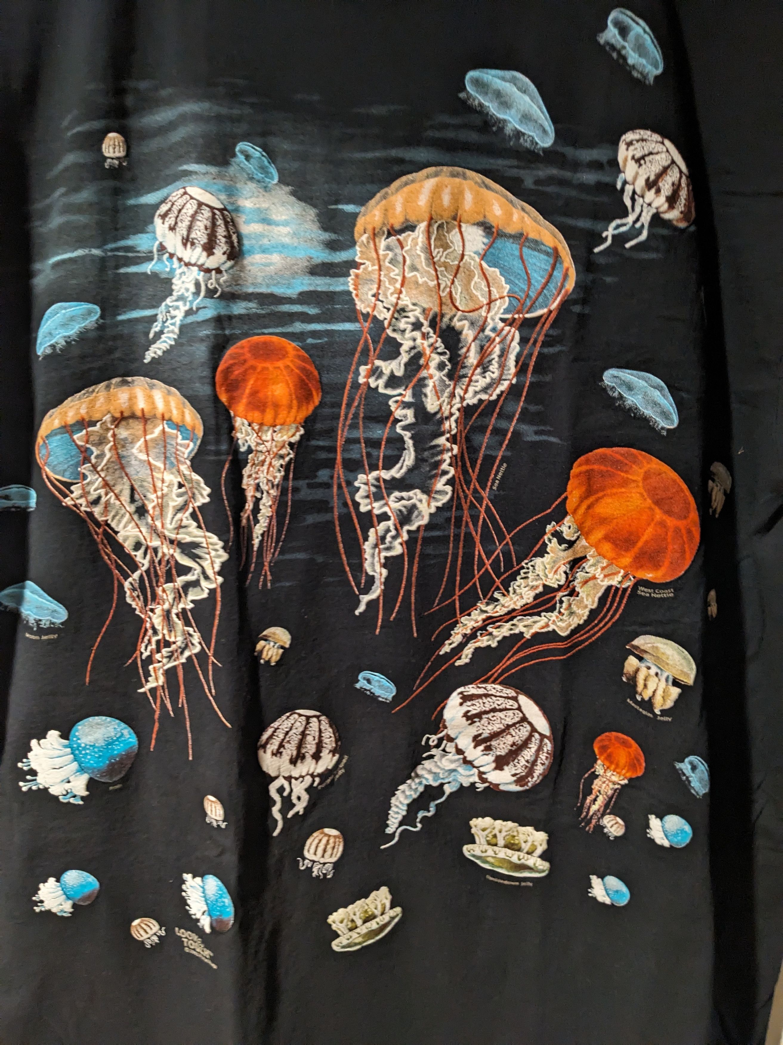 Arts & Science Vintage 2003 Jellyfish Look & Touch Animal Nature T-Shirt Size US XL / EU 56 / 4 - 2 Thumbnail