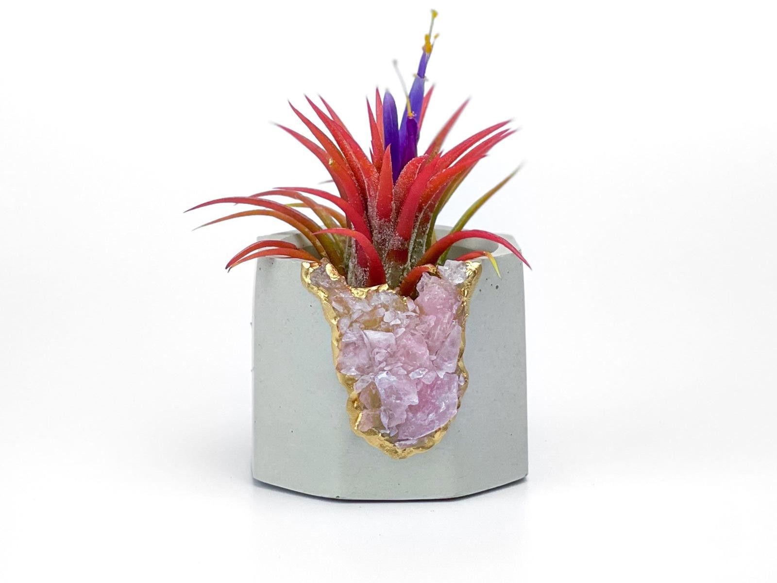 Other Rose Quartz Crystal Planter Concrete Geode Air Plant Holder Size ONE SIZE - 2 Thumbnail