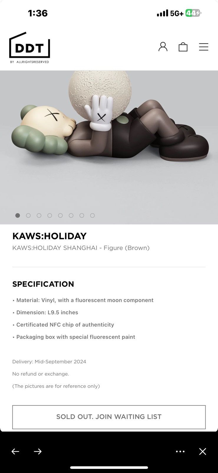 Kaws KAWS: HOLIDAY Shanghai Figure (Brown) Size ONE SIZE - 8 Thumbnail