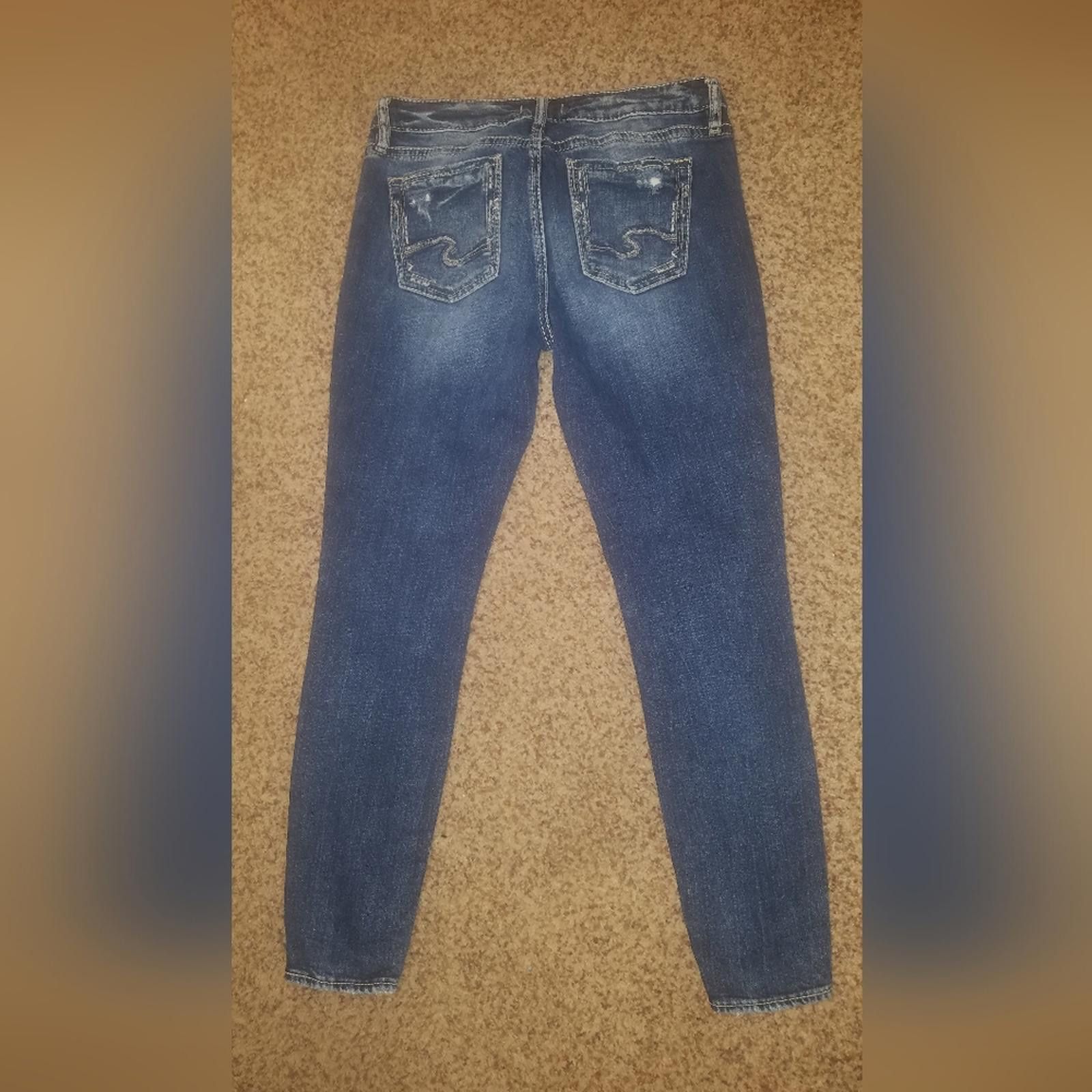 Silver Jeans Co. Silver Elyse Skinny Jeans Size 28X29 Size 28" / US 6 / IT 42 - 2 Thumbnail