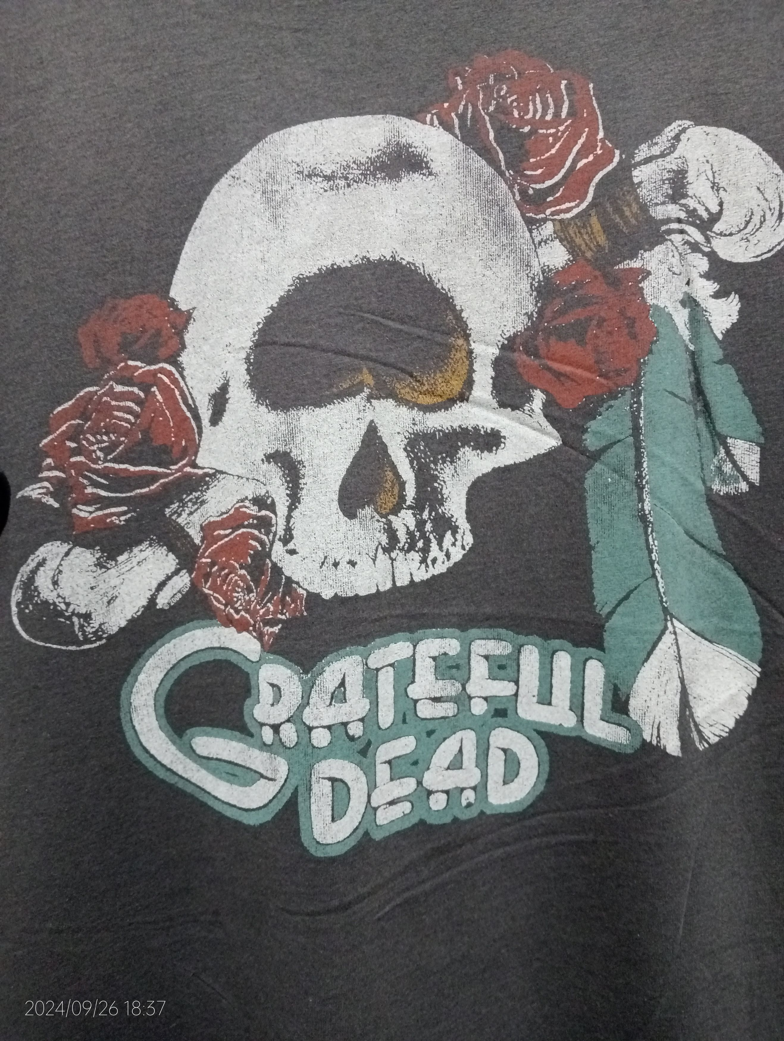 Grateful Dead Vintage Grateful Dead Junk Food X Beams Tee Very Rare Size US L / EU 52-54 / 3 - 5 Thumbnail