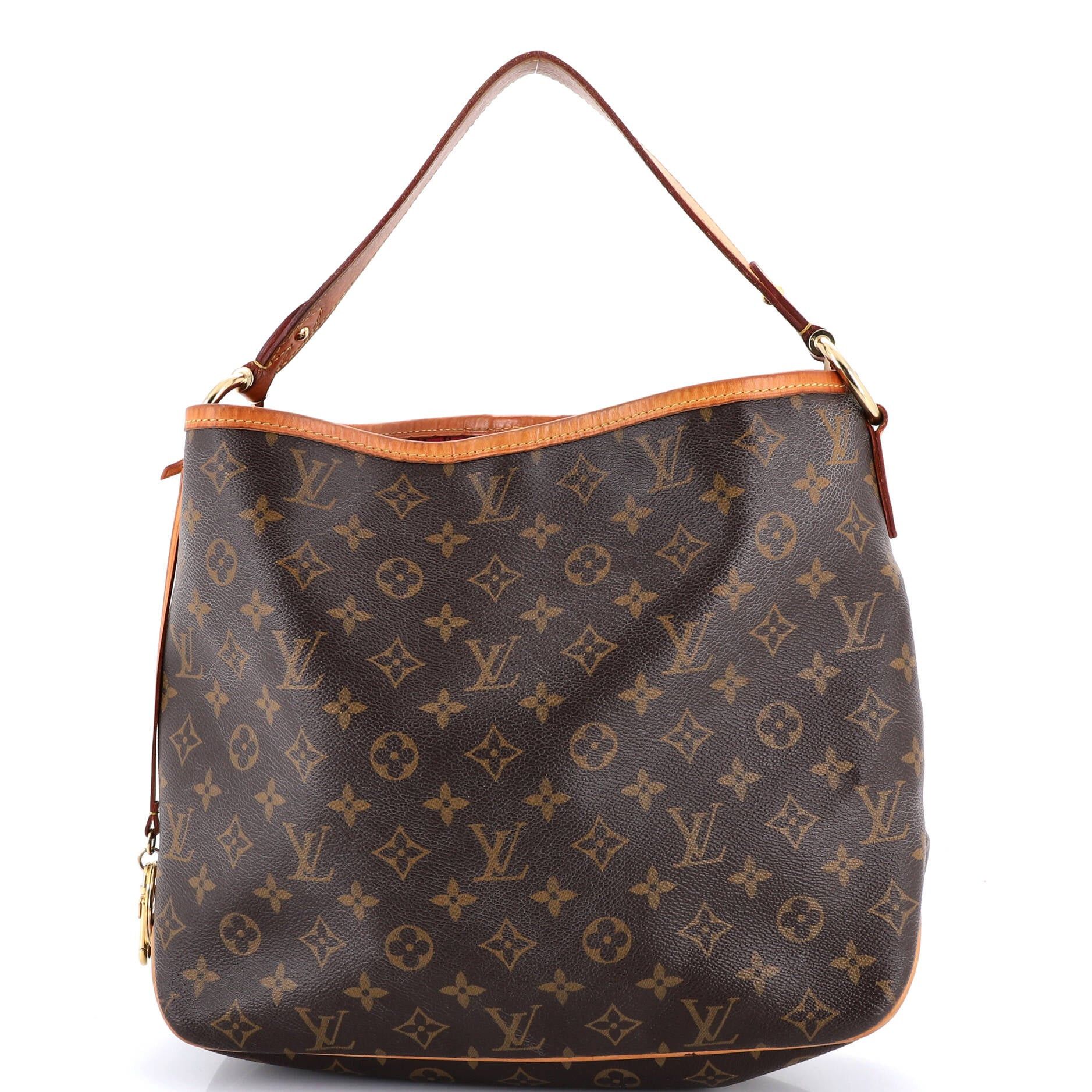 Louis Vuitton Delightful NM Handbag Size ONE SIZE - 1 Thumbnail