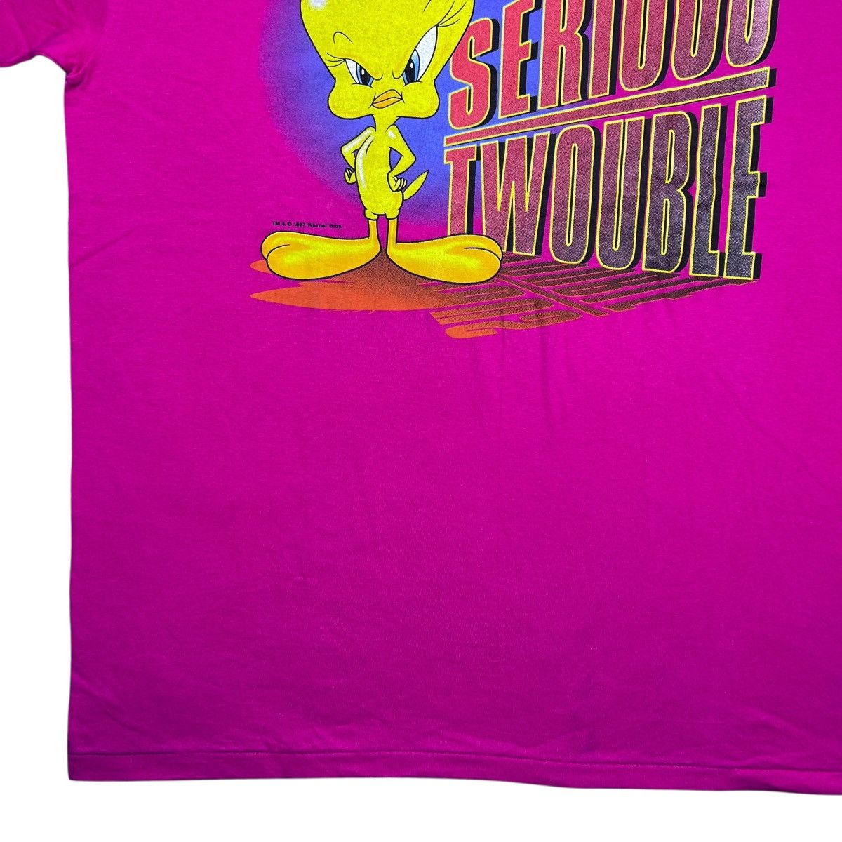 Warner Bros Vtg 1997 Looney Tunes Tweety Serious Twouble Colorado Tee Size US XL / EU 56 / 4 - 8 Thumbnail