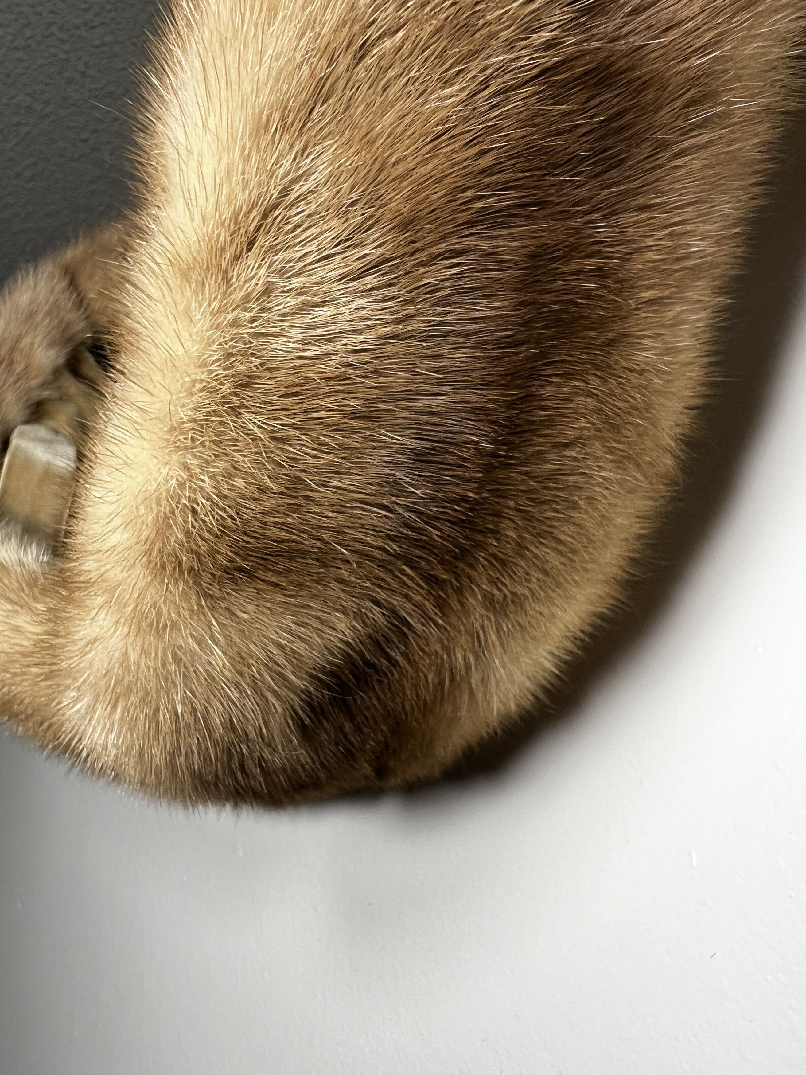Other × Vintage Vintage Fine Apparel L.B. Bell Fur Co. Galesburg, IL Stole Size ONE SIZE - 4 Thumbnail