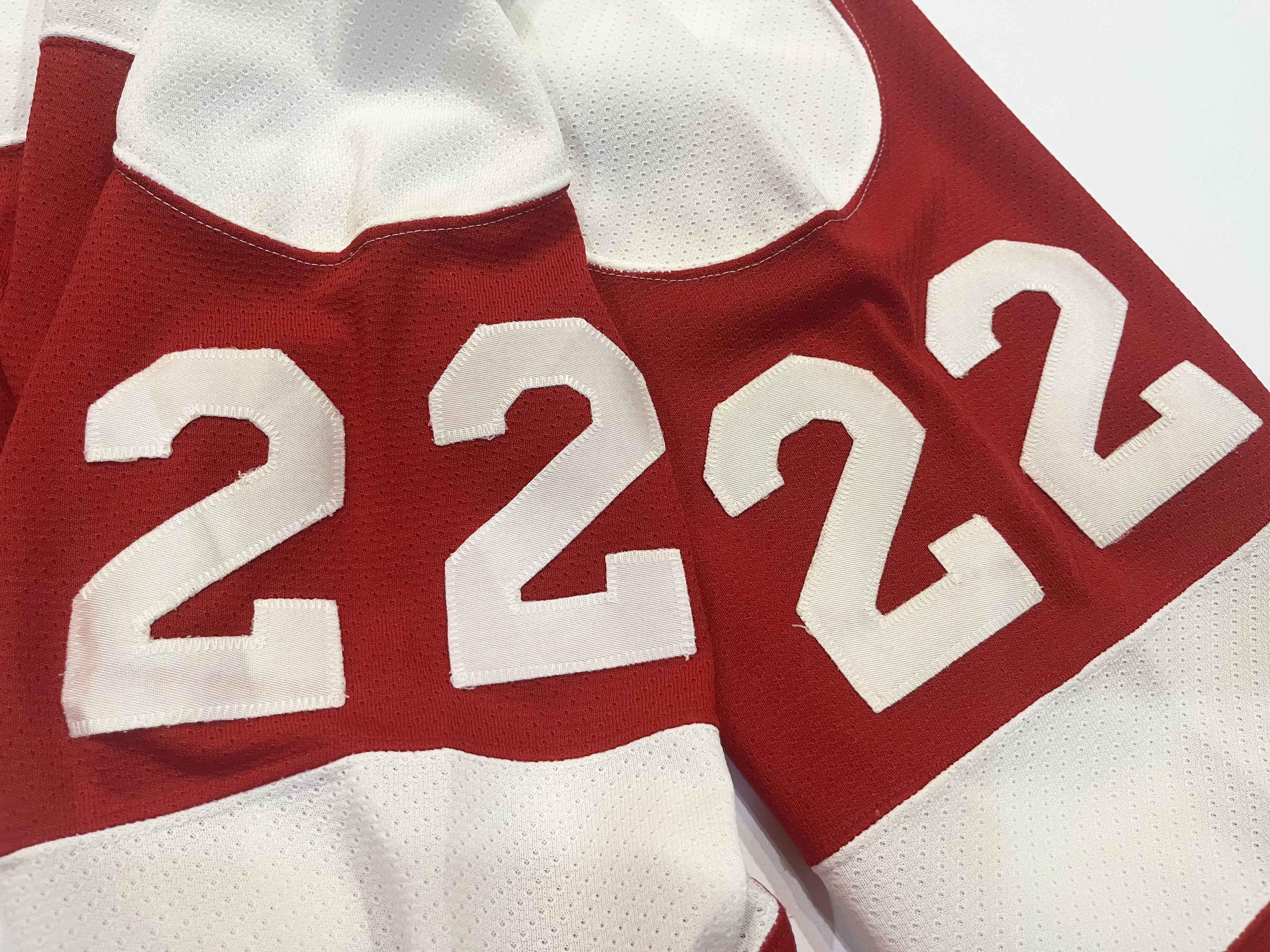 Ccm × NHL CCM Detroit Red Wings DINO #22 NHL Hockey Jersey Size US XL / EU 56 / 4 - 6 Thumbnail