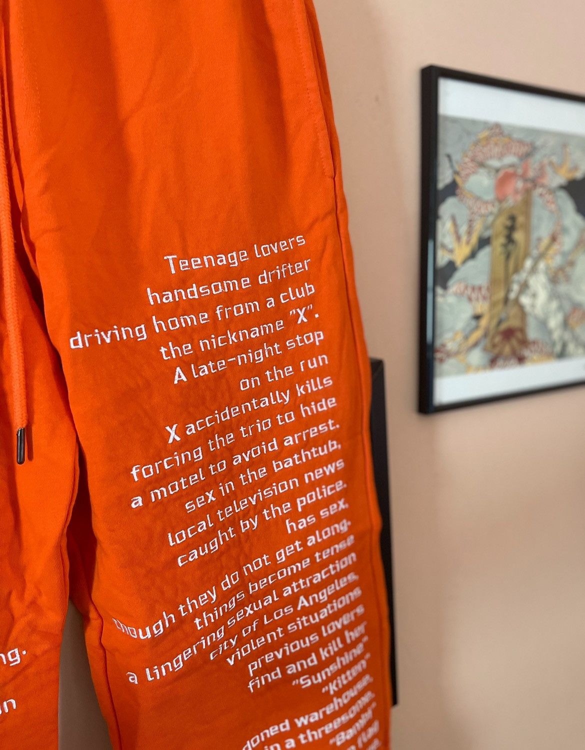 Pleasures Pleasures Now Teenage lovers poem prison sweatpants Size US 32 / EU 48 - 3 Thumbnail