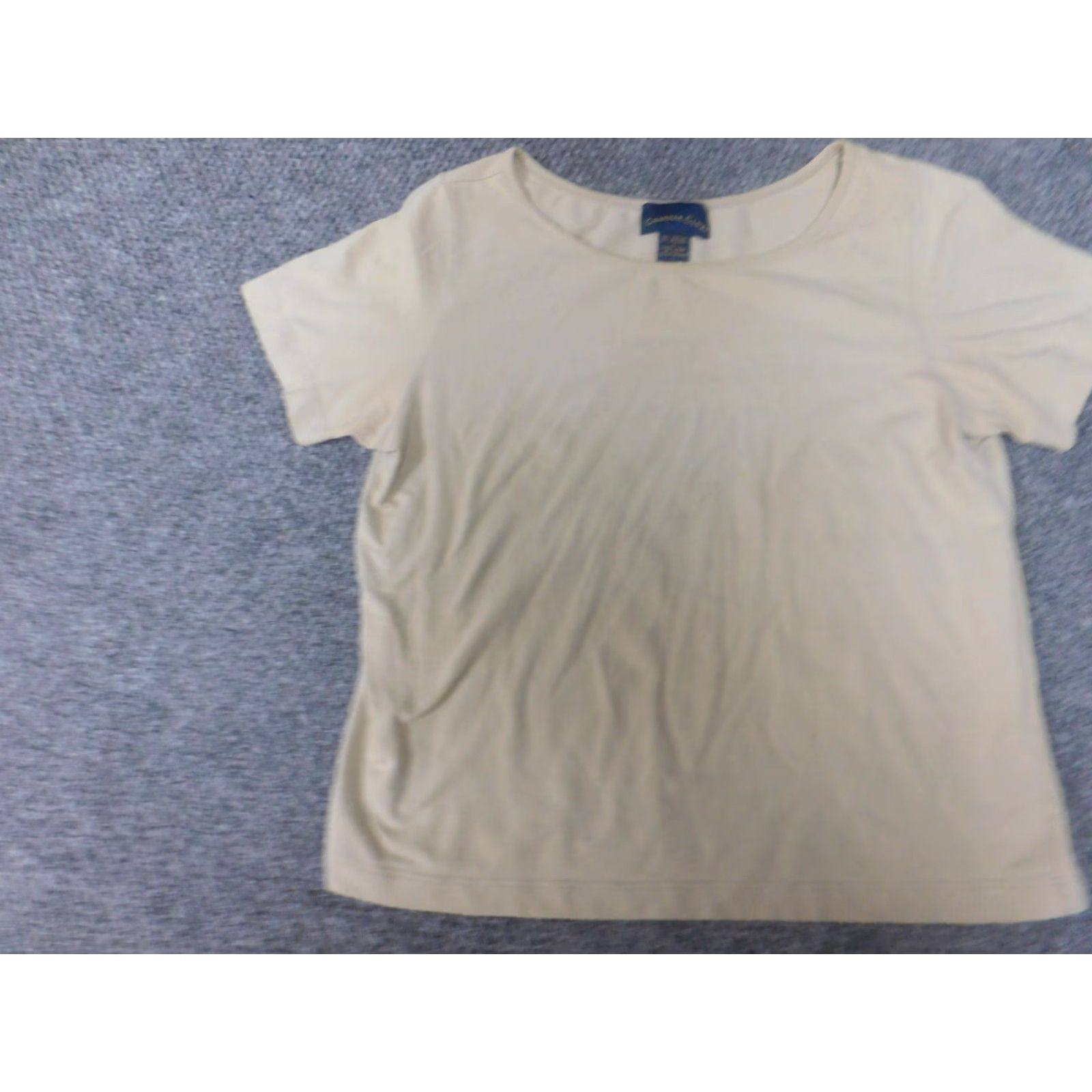 Charter Club Charter Club Womens Shirt L Beige Crew Neck Short Sleeve Pullover Stretch Casual Blouse Basic T-Shirt Size L / US 10 / IT 46 - 2 Thumbnail