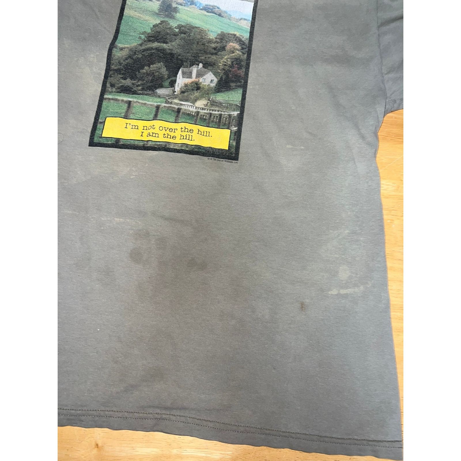 Tultex Vintage Witbit Shirt Youth Impaired Hill Cartoon Comic XL Size US XL / EU 56 / 4 - 10 Thumbnail