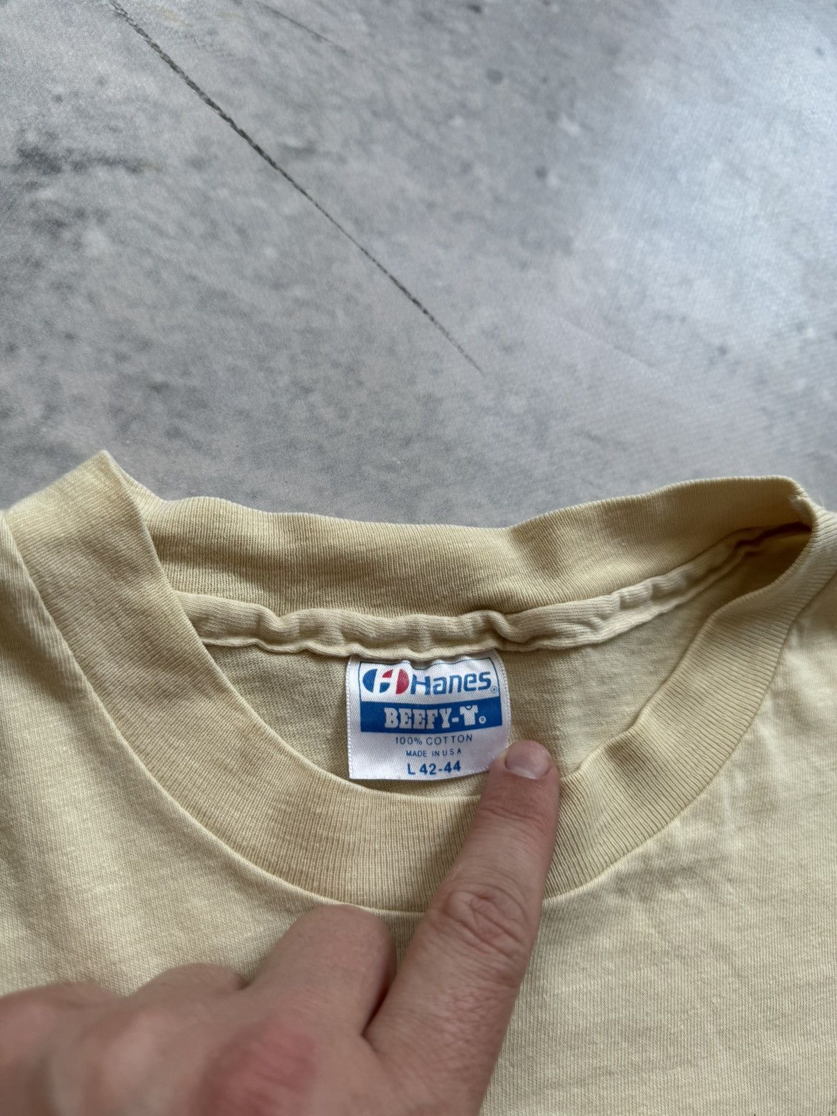 Hanes × Other × Vintage Hanes vintage 90s tee beauty nature art Size US L / EU 52-54 / 3 - 4 Thumbnail