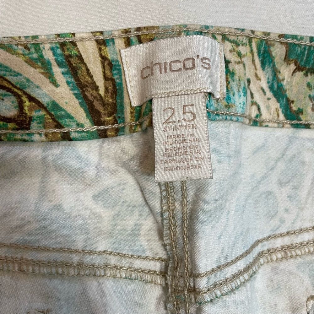 Chicos Chico's Exotic Paisley Skimmer Pants Size 2.5 US L Size 36" / US 14 / IT 50 - 7 Thumbnail