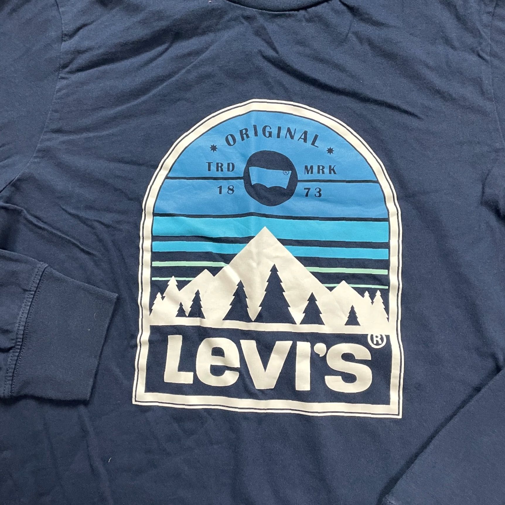 Levi's Levi's T-Shirt Shirt Men M Blue Crew Neck Long Sleeve Cotton Graphic Logo Casual Tee 90s Outdoor Mens Size US M / EU 48-50 / 2 - 3 Thumbnail