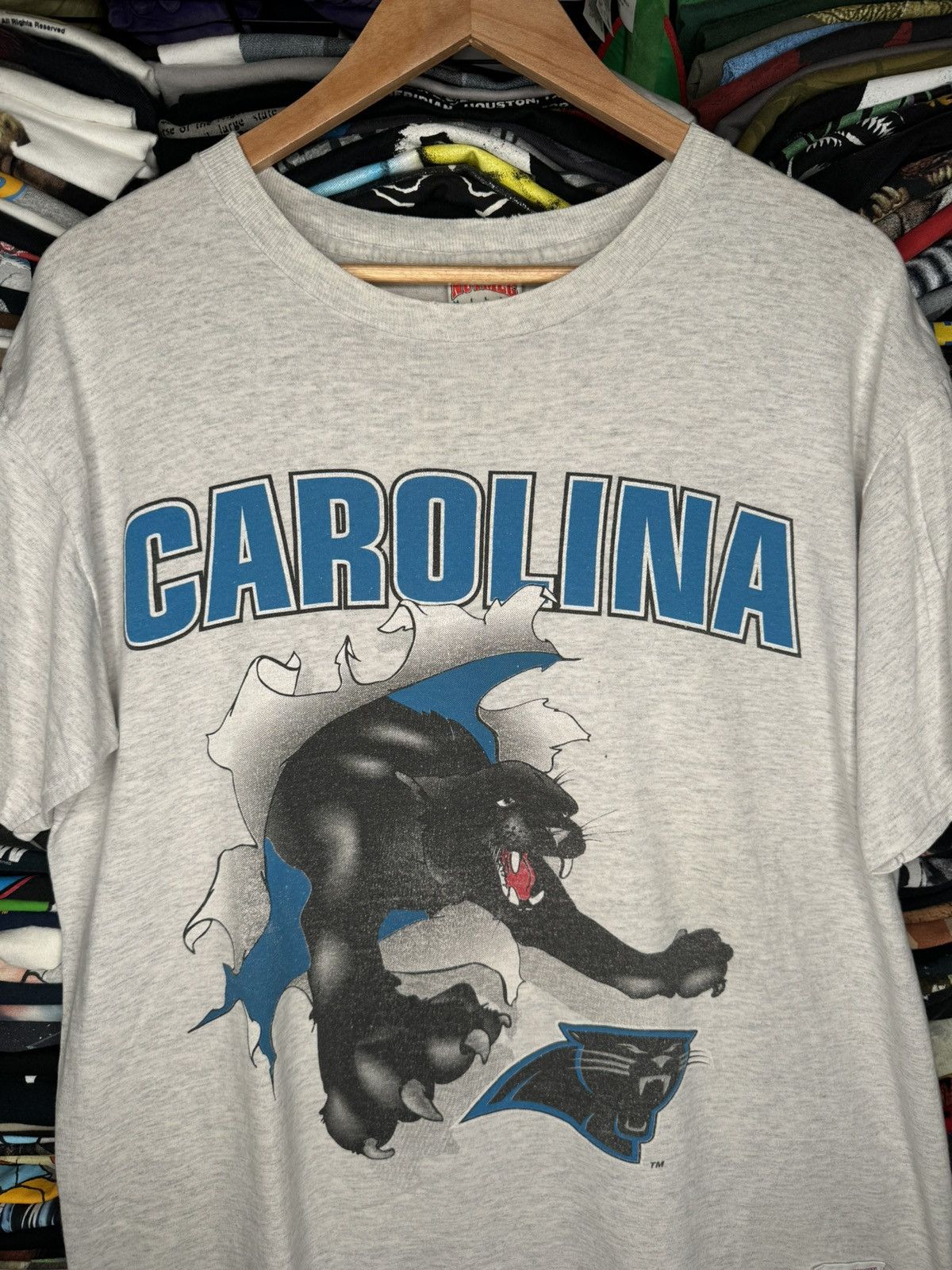 NFL × Nutmeg × Vintage Vintage 1993 Carolina Panthers Nutmeg Mills Breakthrough Tee Size US L / EU 52-54 / 3 - 2 Thumbnail