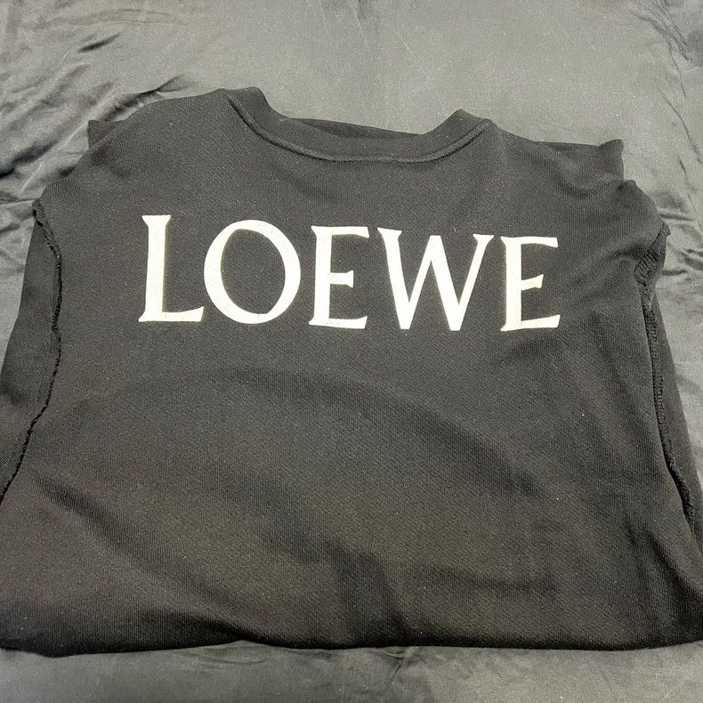Loewe LOEWE Men's printed hoodie Size US S / EU 44-46 / 1 - 2 Thumbnail