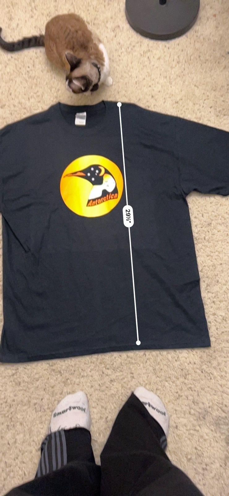 Other × Vintage Vintage Antarctica Penguin Map Tee Size US XL / EU 56 / 4 - 5 Thumbnail