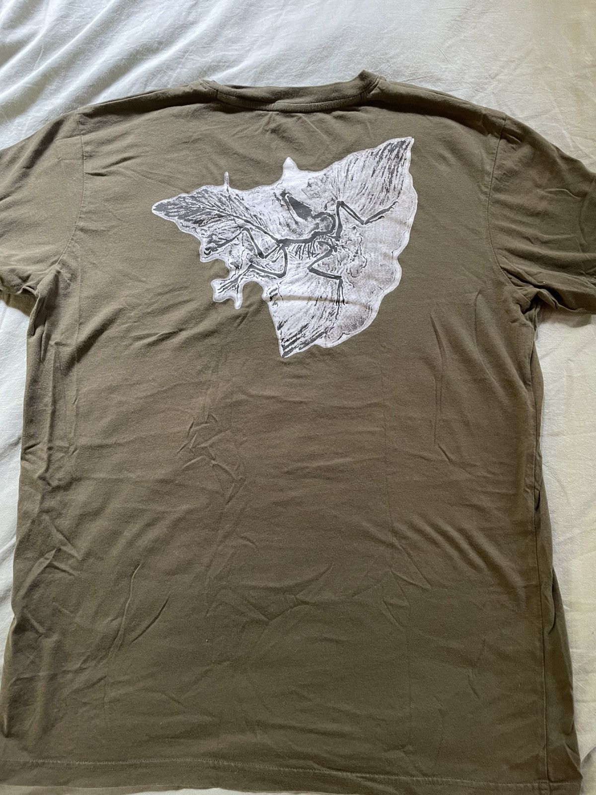 Arc'teryx Arc’teryx big back logo Size US M / EU 48-50 / 2 - 5 Thumbnail