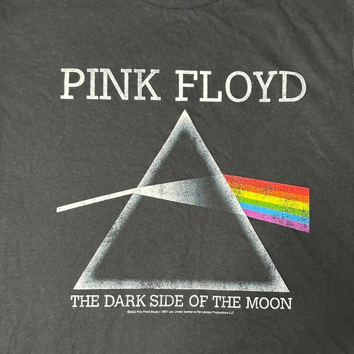 Band Tees × Gildan × Pink Floyd NWOT Pink Floyd Dark Side of the Moon Graphic Tee Unisex M Size US M / EU 48-50 / 2 - 3 Thumbnail