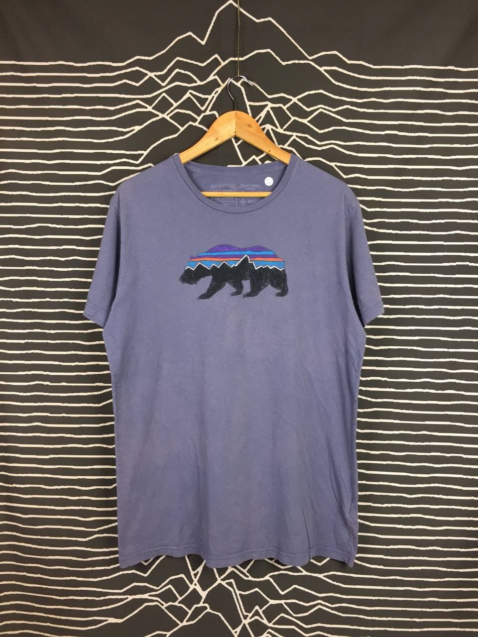 Patagonia × Vintage Patagonia Fitz Roy Bear Organic Cotton Slim Fit Tee Size US L / EU 52-54 / 3 - 1 Thumbnail