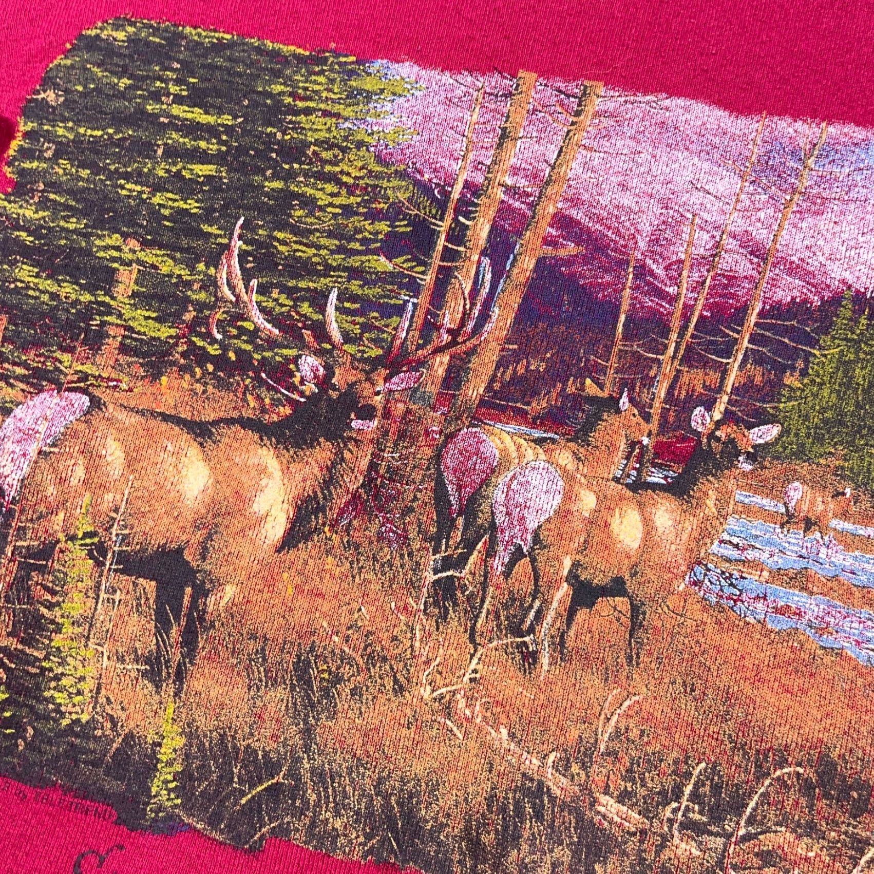 Fruit Of The Loom Vintage Fruit of the Loom Sweatshirt Men XL Crewneck Blue Graphic Print 90s Deer Hunting Nature Regular Mens Size US XL / EU 56 / 4 - 5 Thumbnail