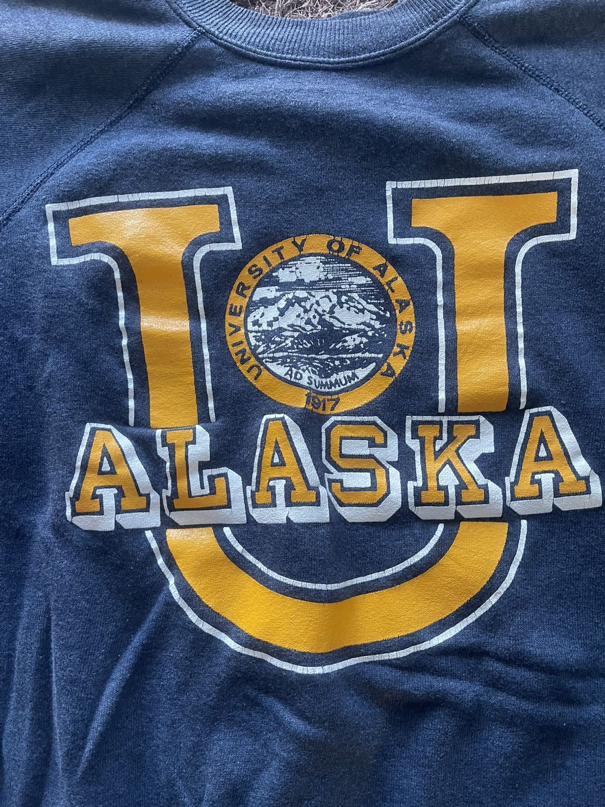 Vintage 🔥HOT🔥VINTAGE 1917 UNIVERSITY OF ALASKA TEE VERY RARE Size US M / EU 48-50 / 2 - 2 Thumbnail