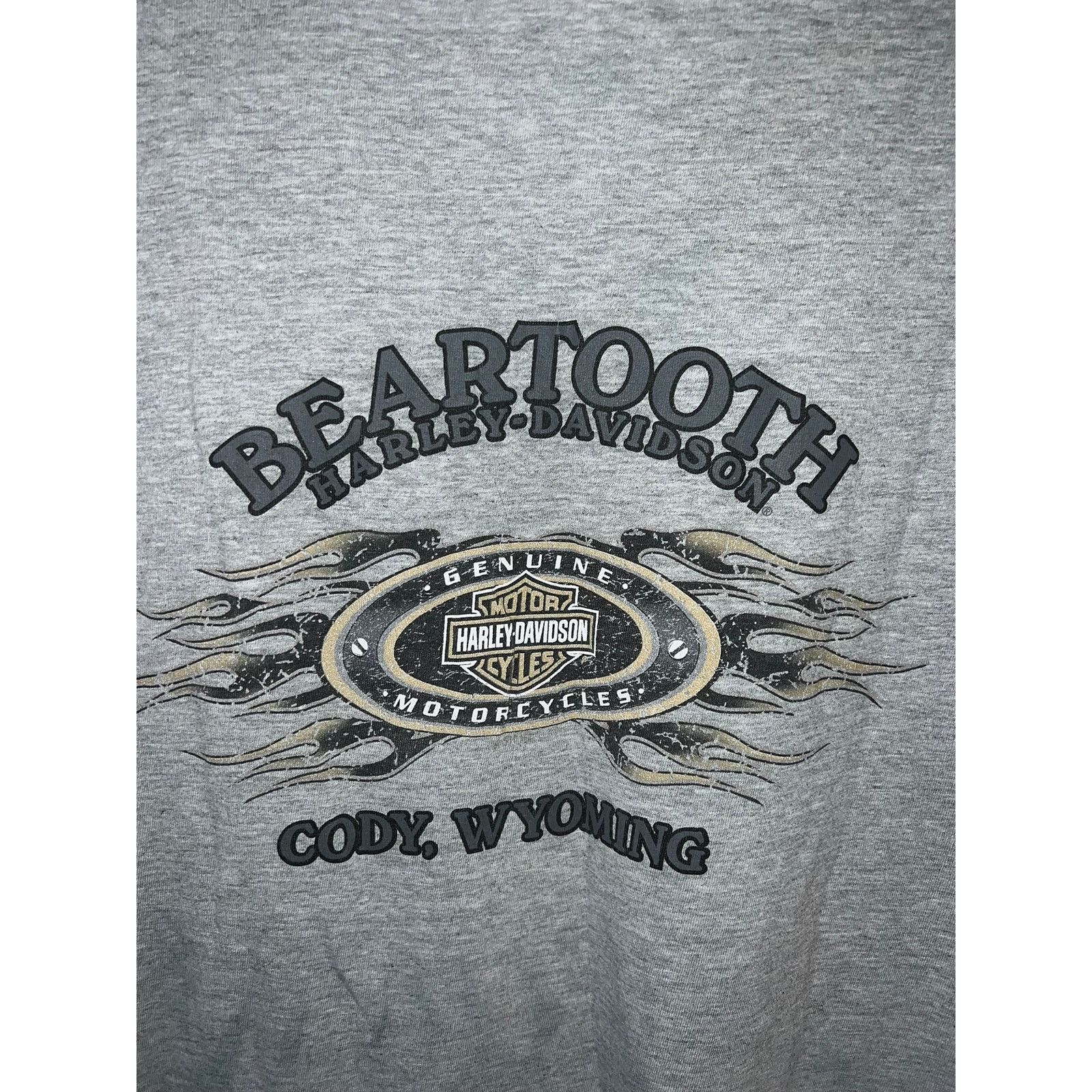 Harley Davidson Harley Davidson Wyoming Shirt Cody WY Beartooth Gray Tee XL Size US XL / EU 56 / 4 - 9 Thumbnail